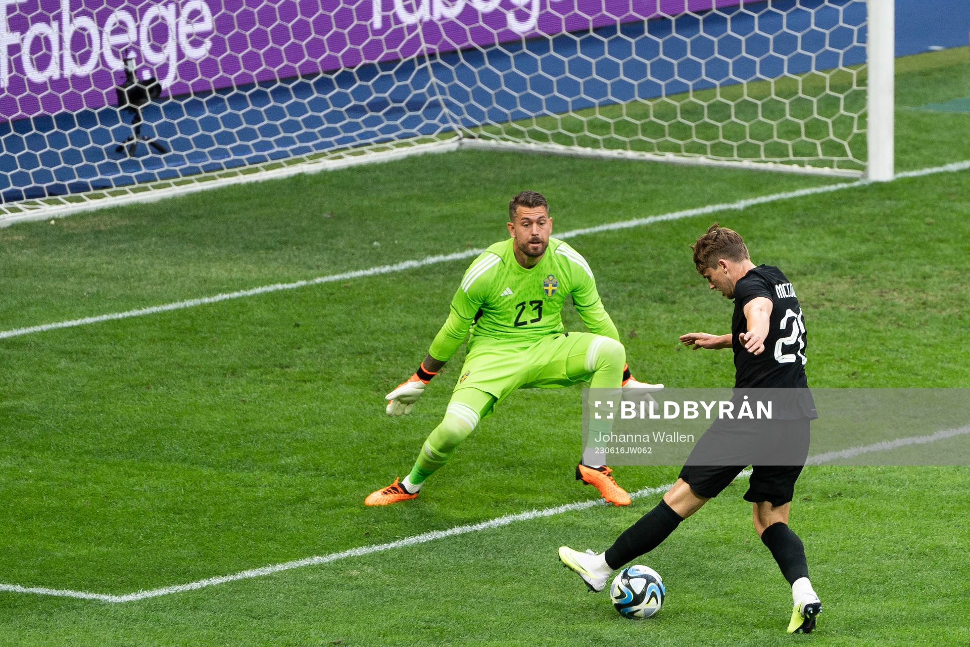 goalkeeper Kristoffer Nordfeldt of Sweden and Callum
