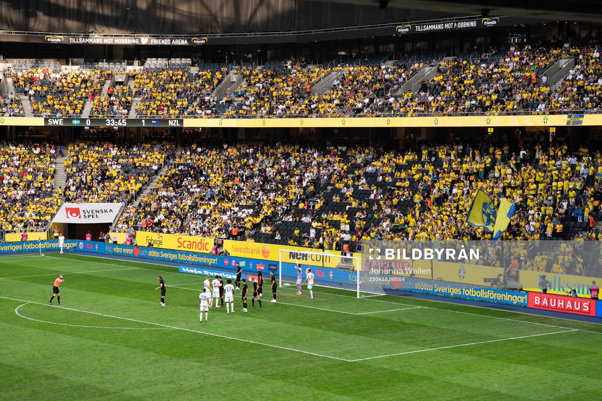 Supporters of Sweden