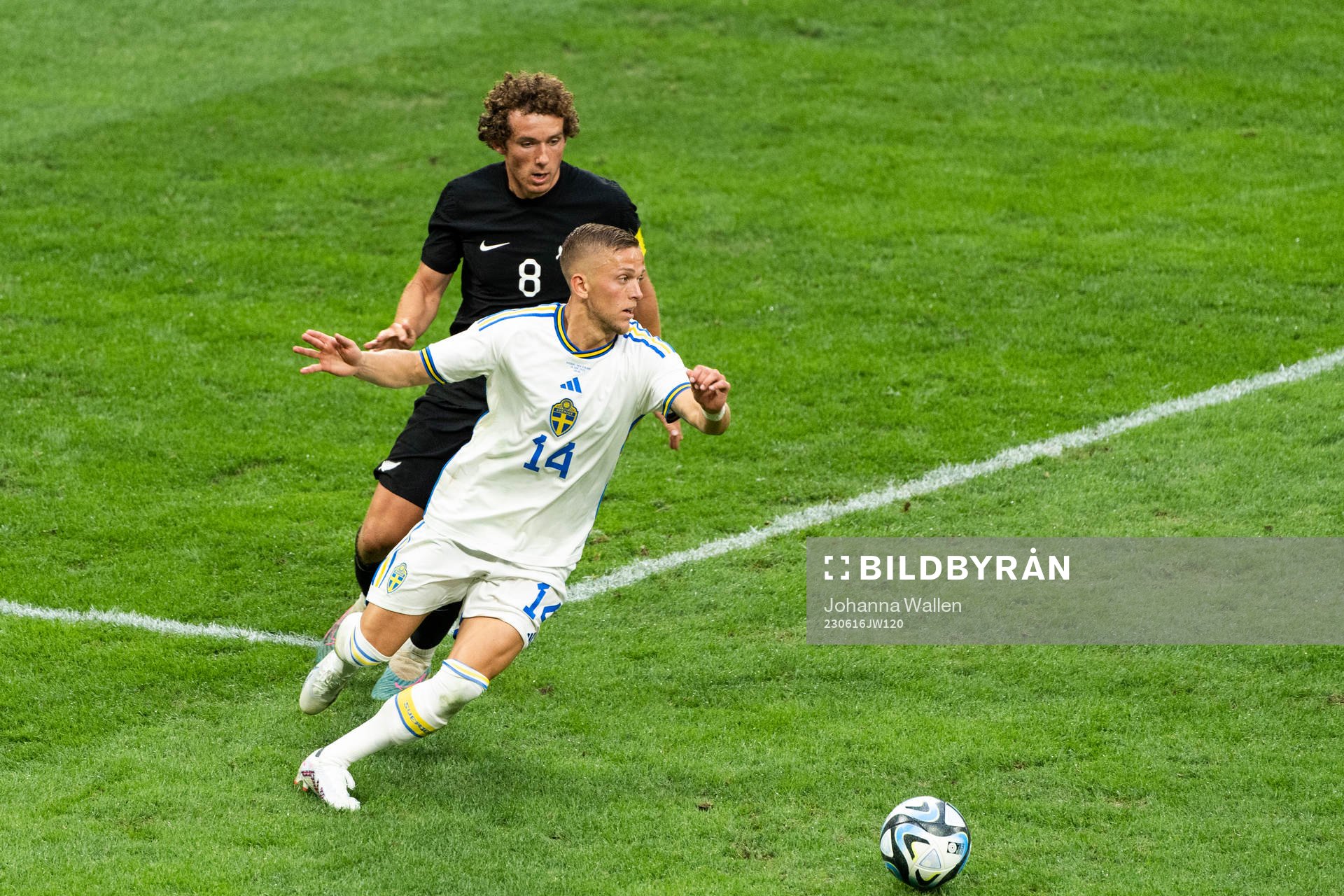 Joe Bell of New Zealand and Jesper Karlsson of Sweden