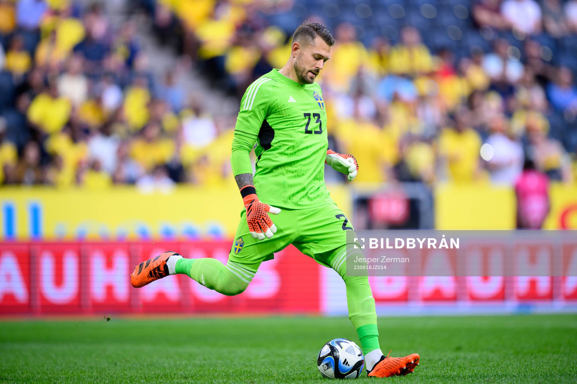Goalkeeper Kristoffer Nordfeldt of Sweden