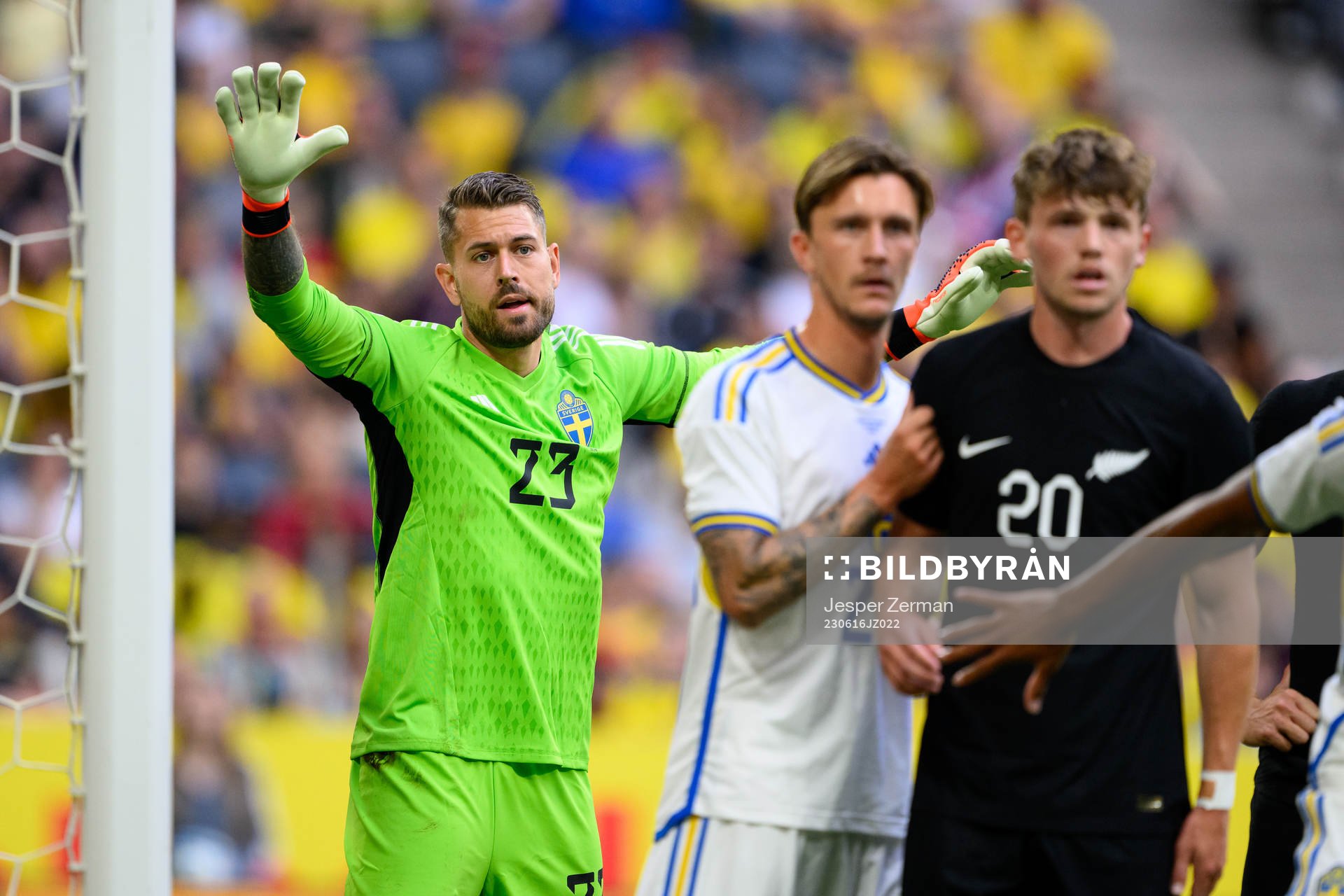 goalkeeper Kristoffer Nordfeldt of Sweden