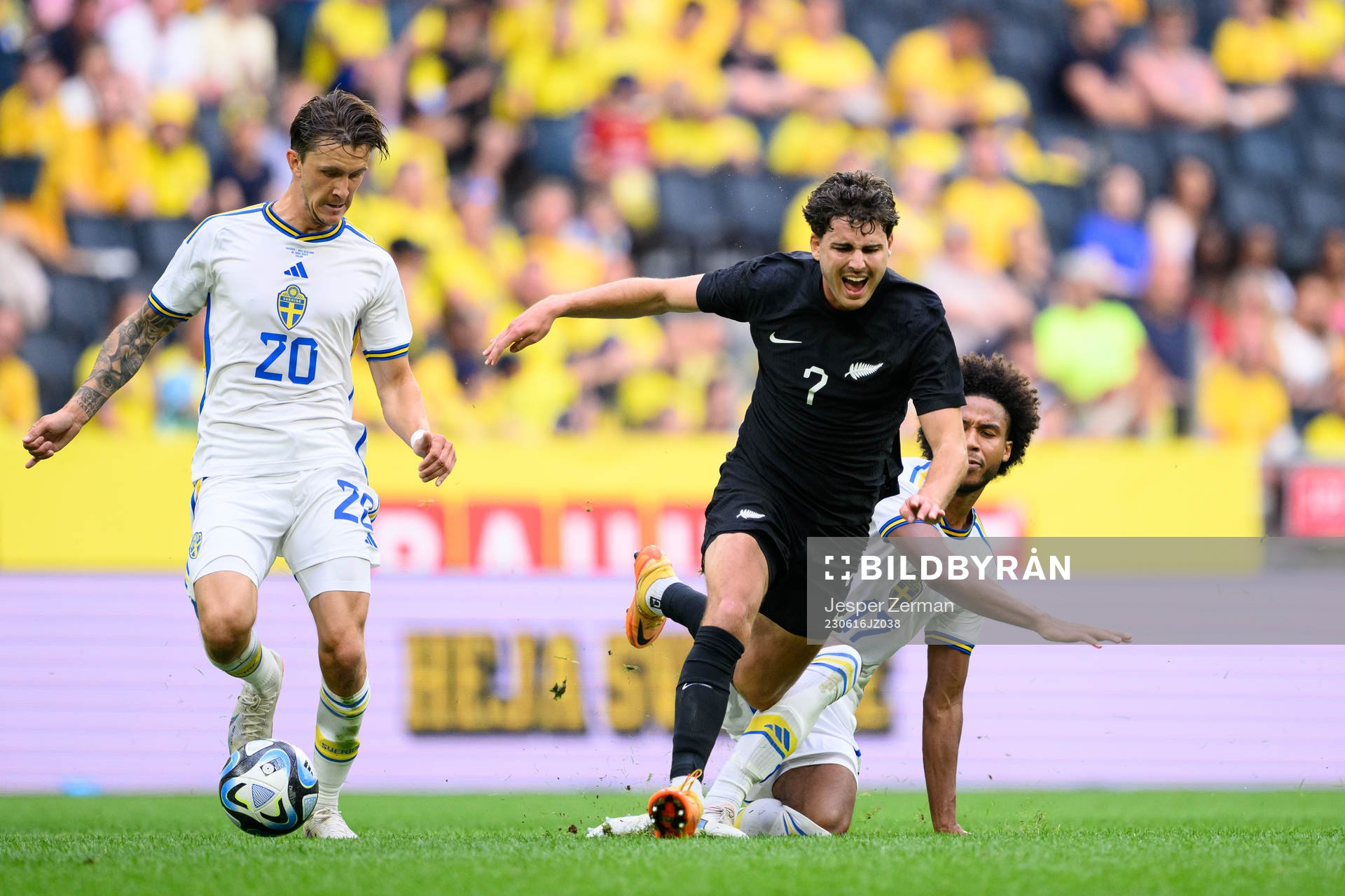 Kristoffer Olsson and Jens Cajuste of Sweden against Matt
