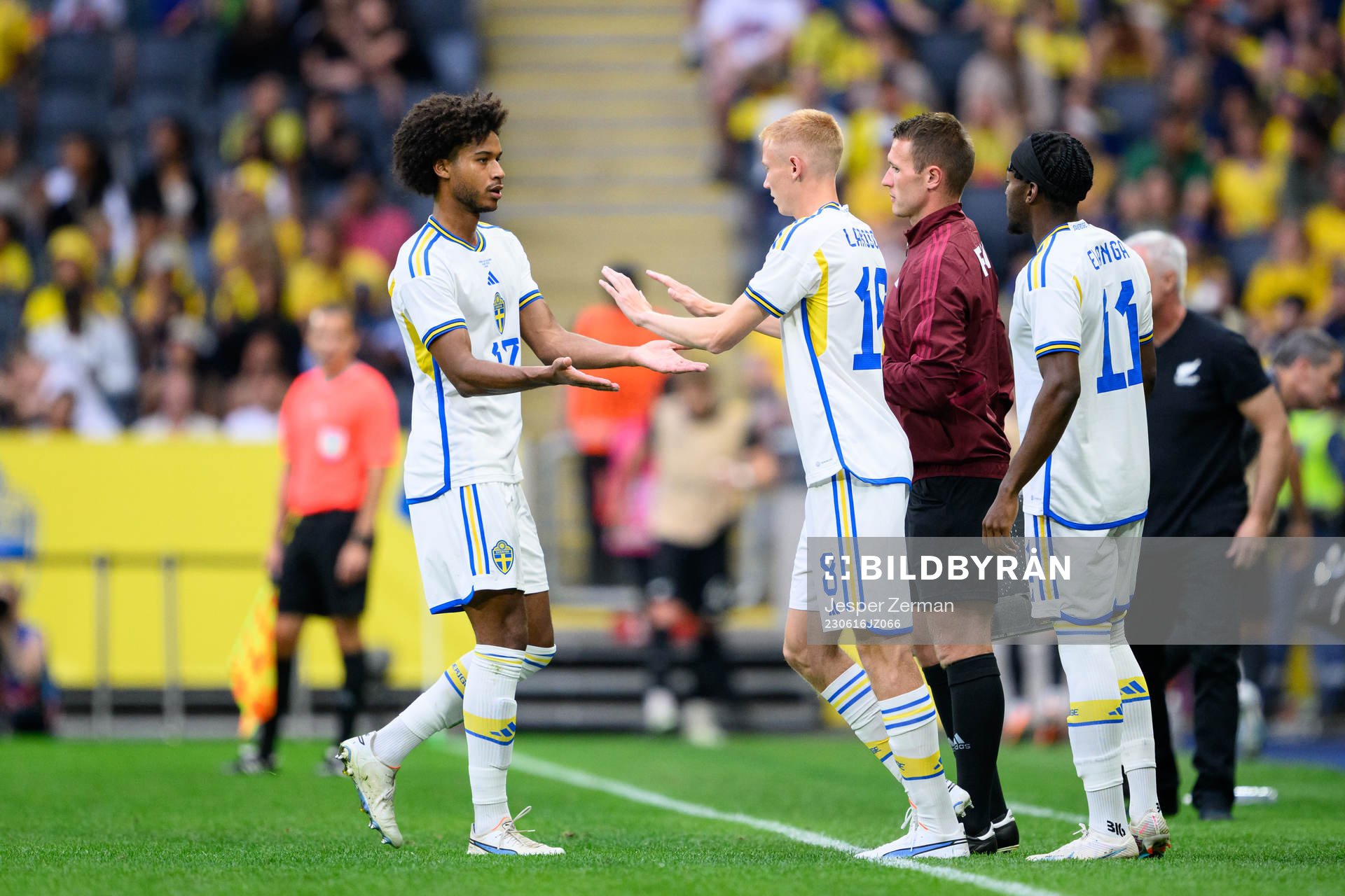 Jens Cajuste of Sweden is substituted by Hugo Larsson