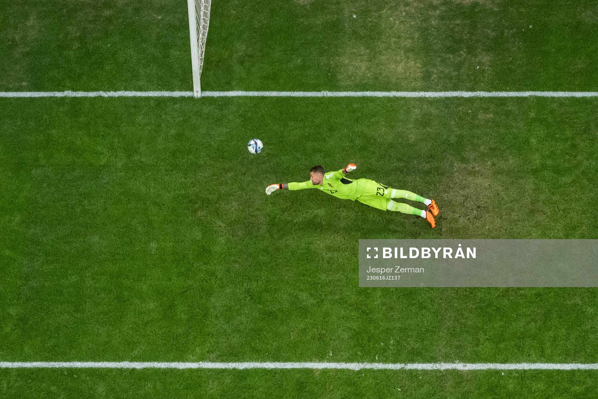 goalkeeper Kristoffer Nordfeldt of Sweden
