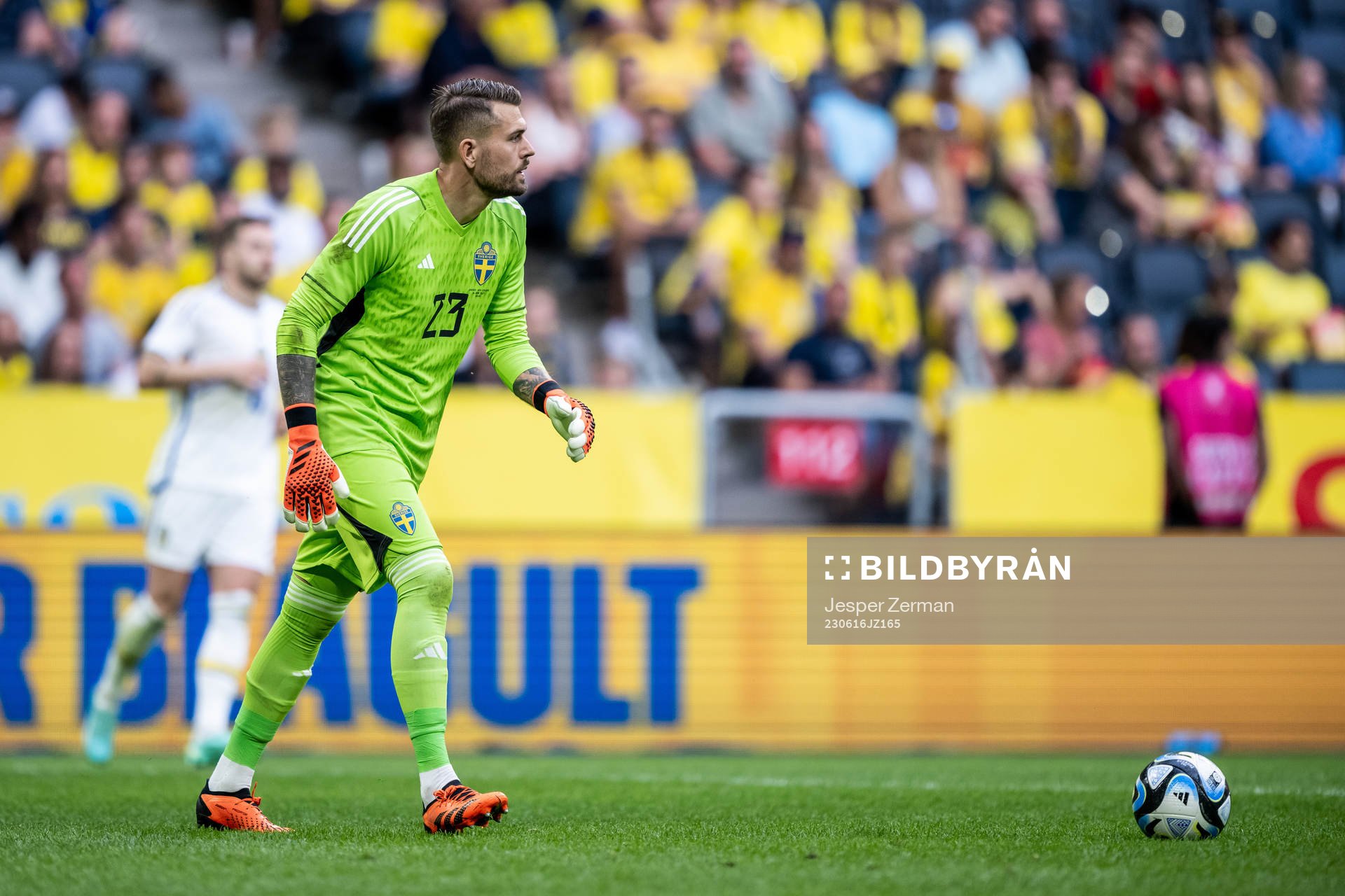 goalkeeper Kristoffer Nordfeldt of Sweden
