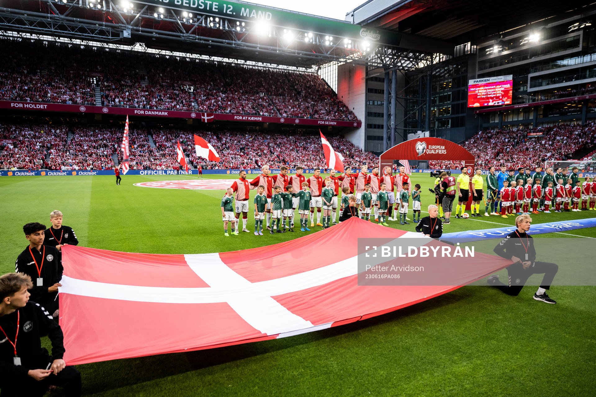 Players of Denmark