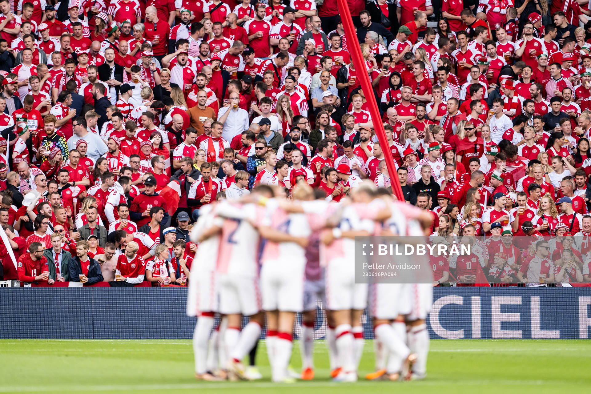 Fans of Denmark