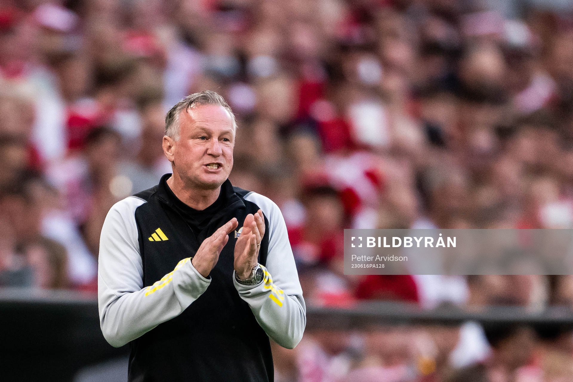 Head coach Michael O'Neill of Northern Ireland