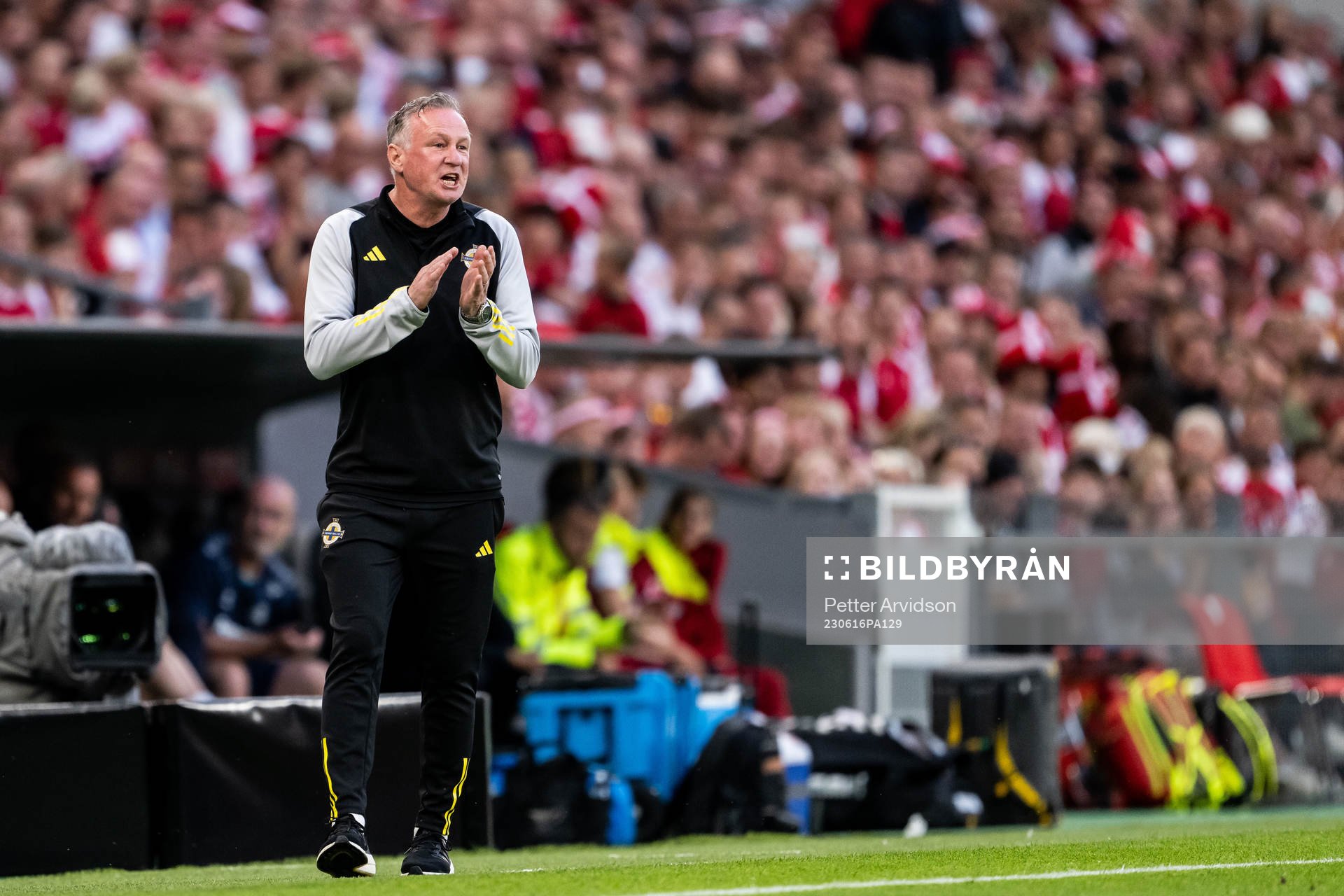 Head coach Michael O'Neill of Northern Ireland
