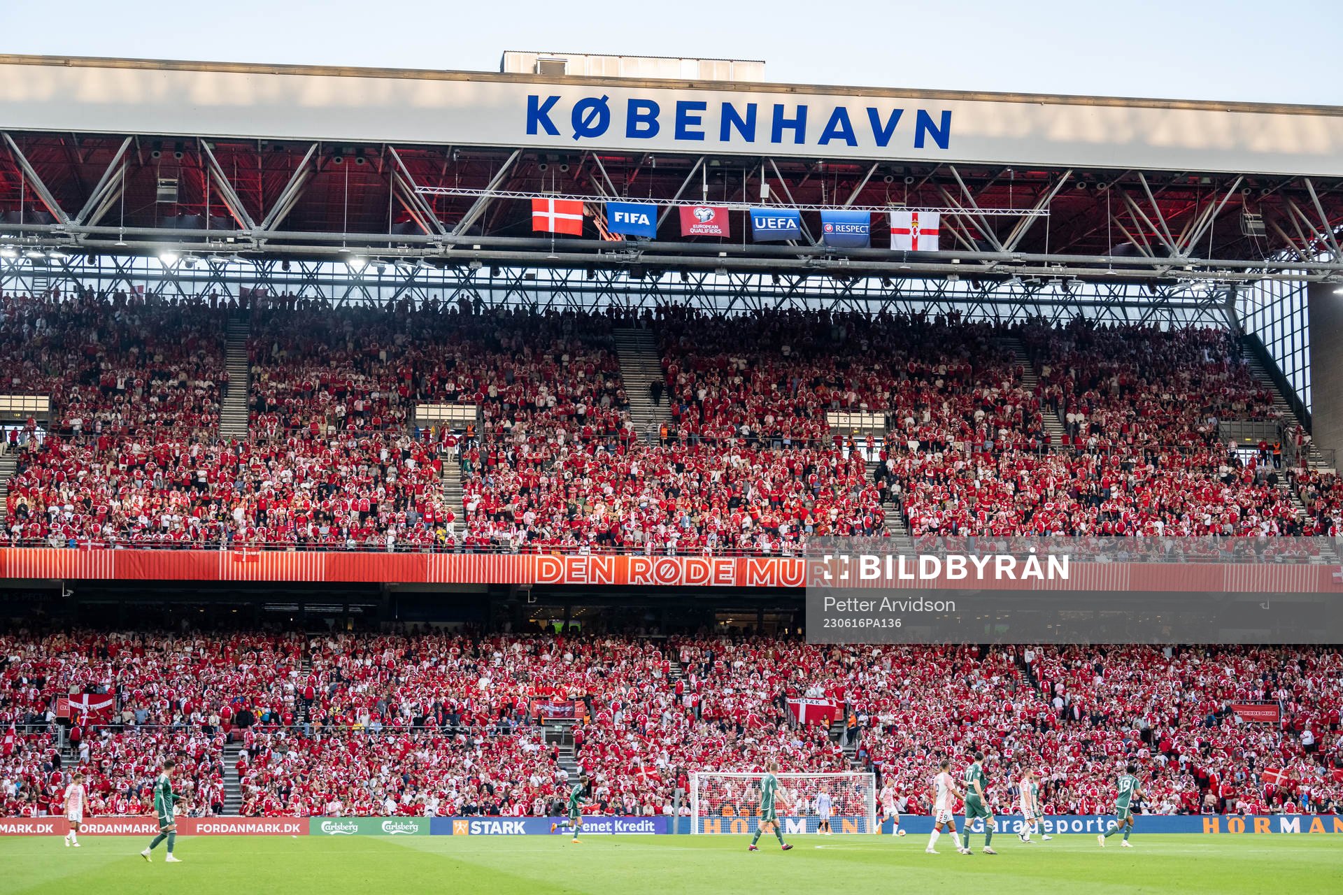 Fans of Denmark