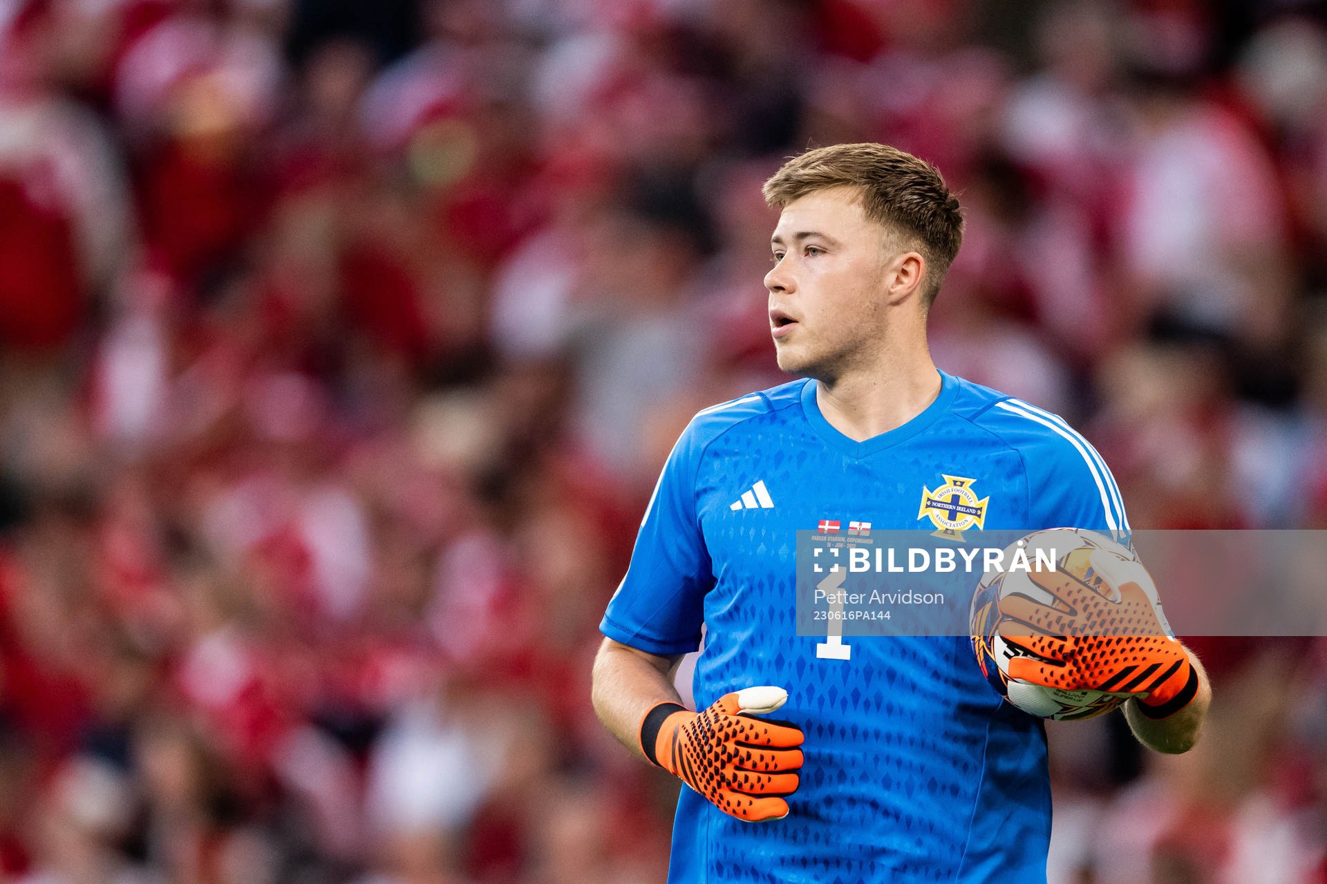 Goalkeeper Bailey Peacock-Farrell of Northern Ireland