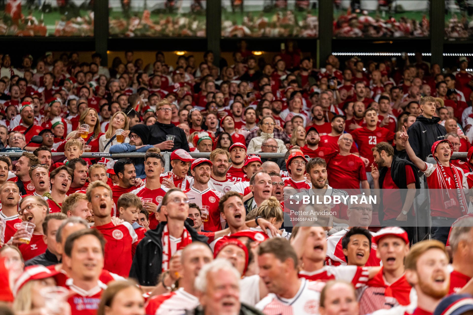 Fans of Denmark