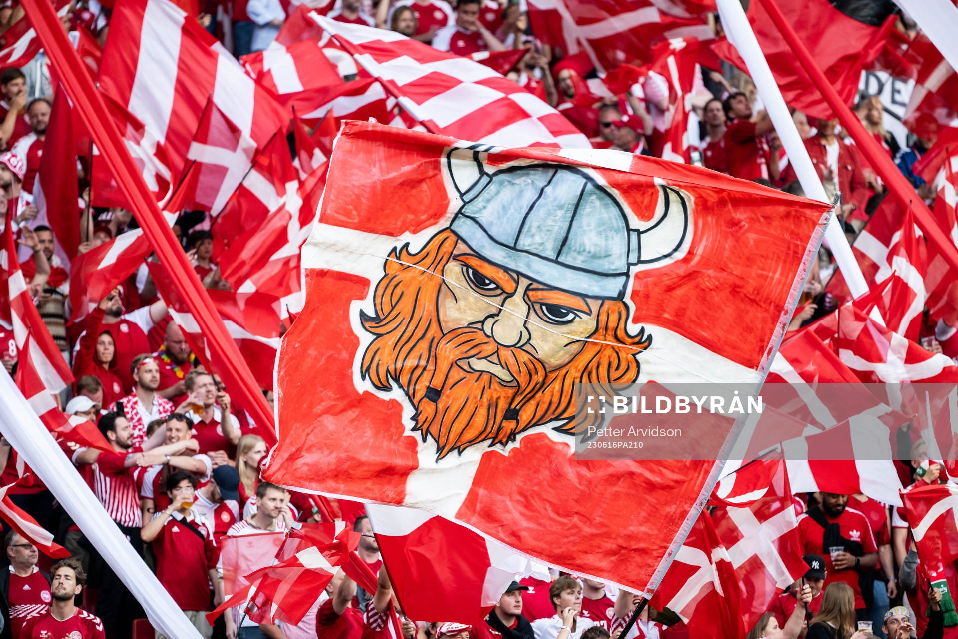 during the UEFA Euro Qualifier football match between