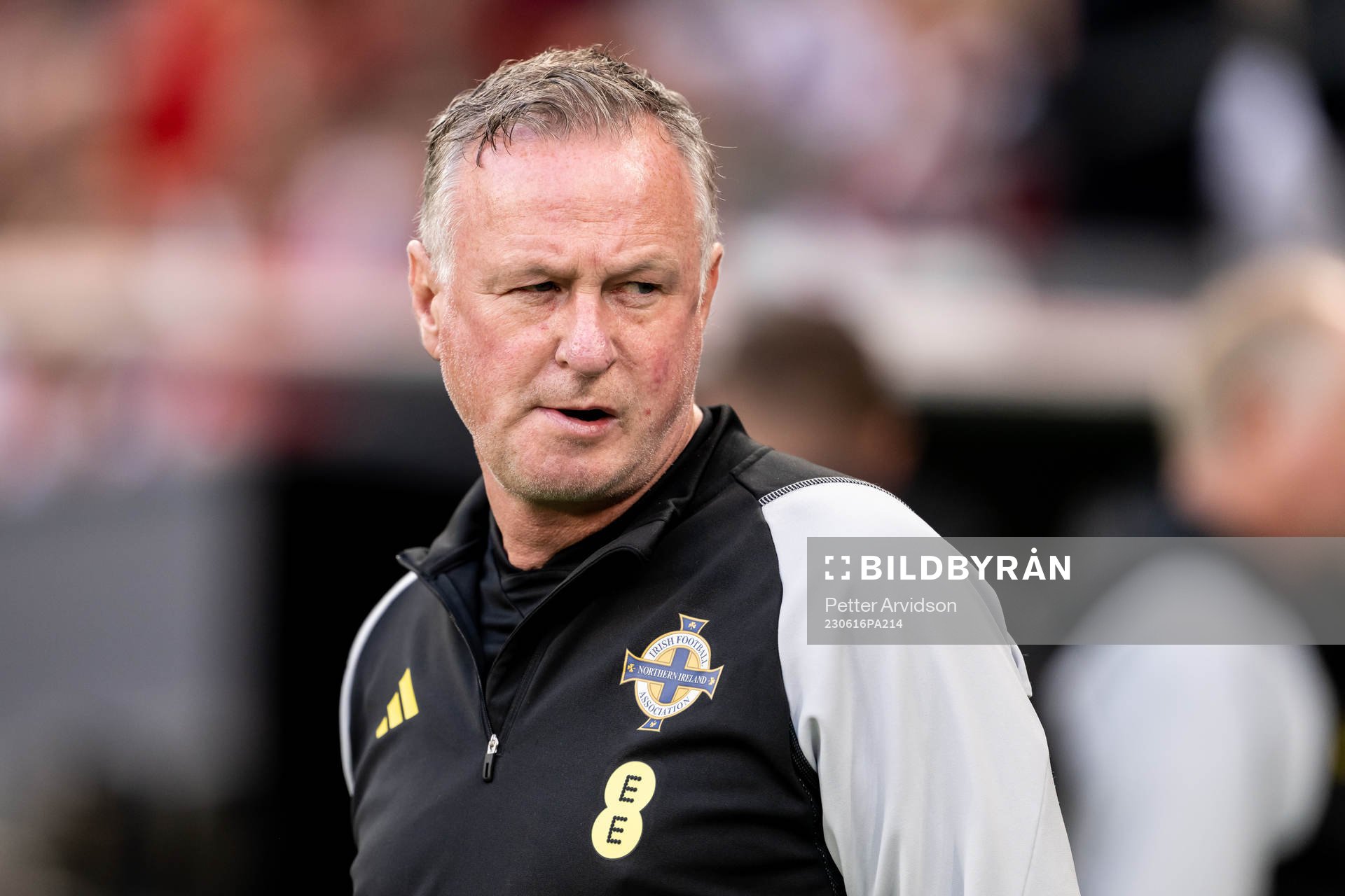 Head coach Michael O'Neill of Northern Ireland