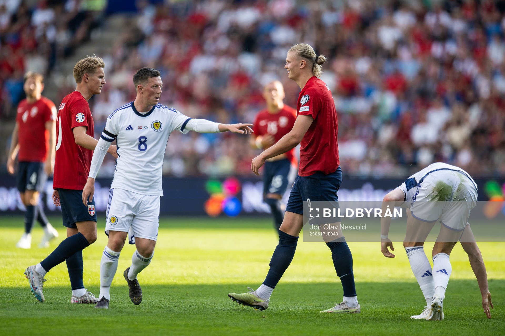 Callum McGregor of Scotland and Erling Braut Haaland of