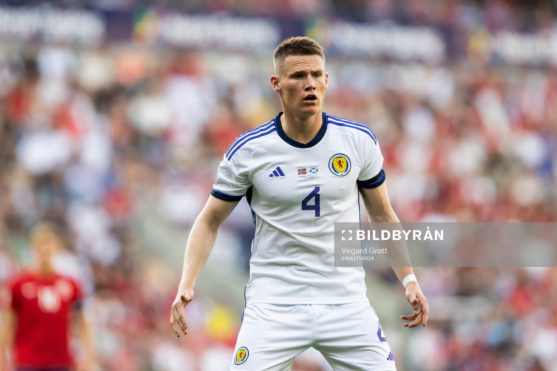 Scott McTominay of Scotland