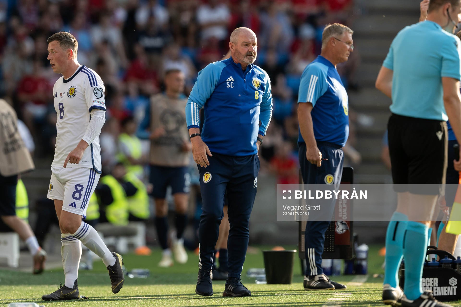 Head coach Steve Clarke of Scotland