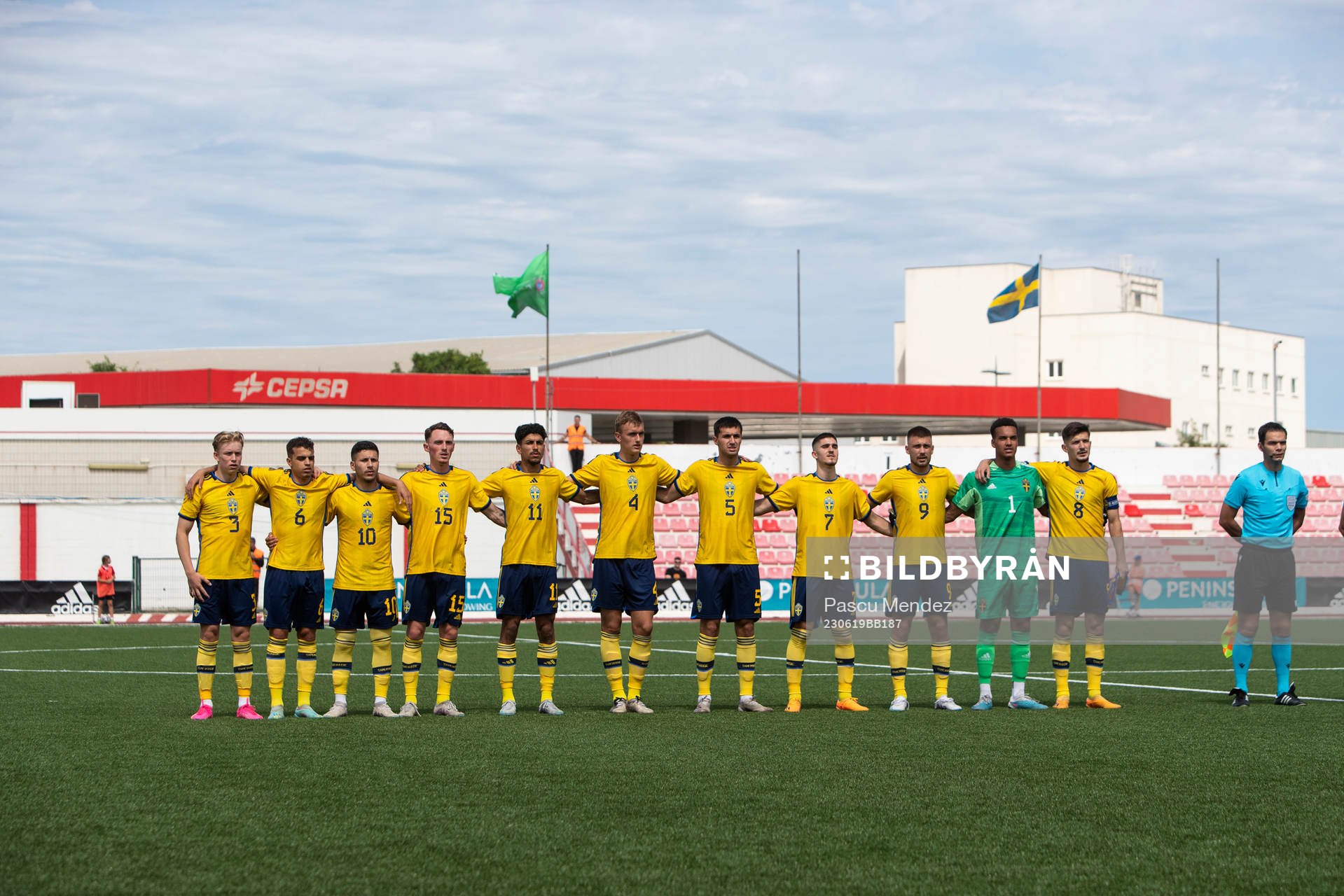 Players of Sweden