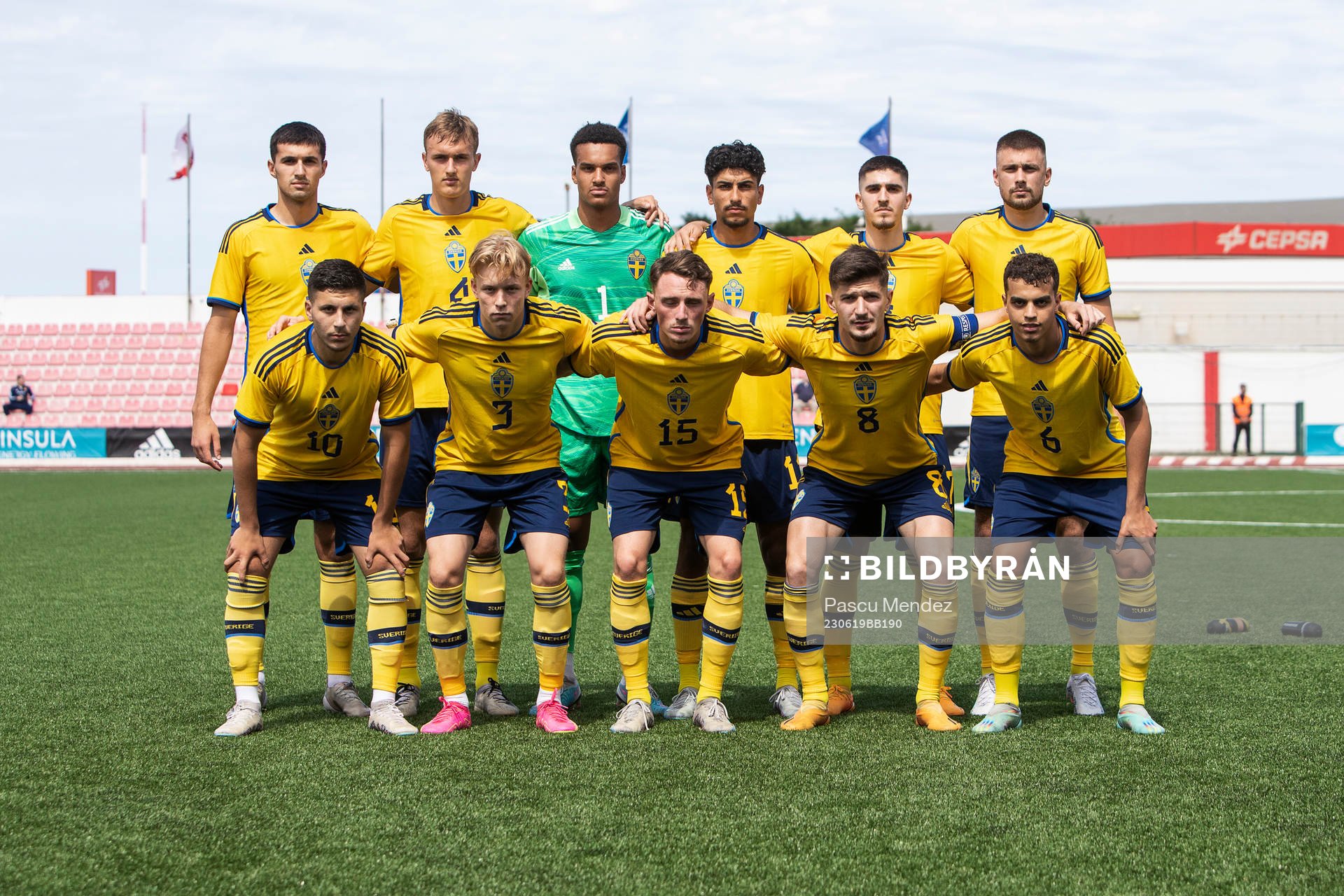 Players of Sweden