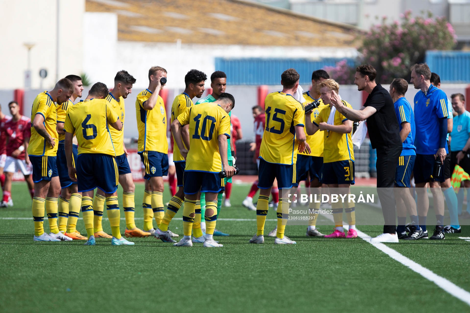 Players of Sweden