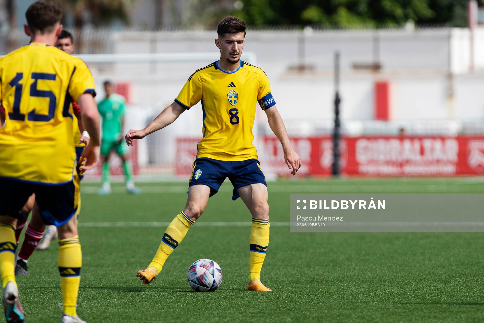 Armin Gigovic of Sweden