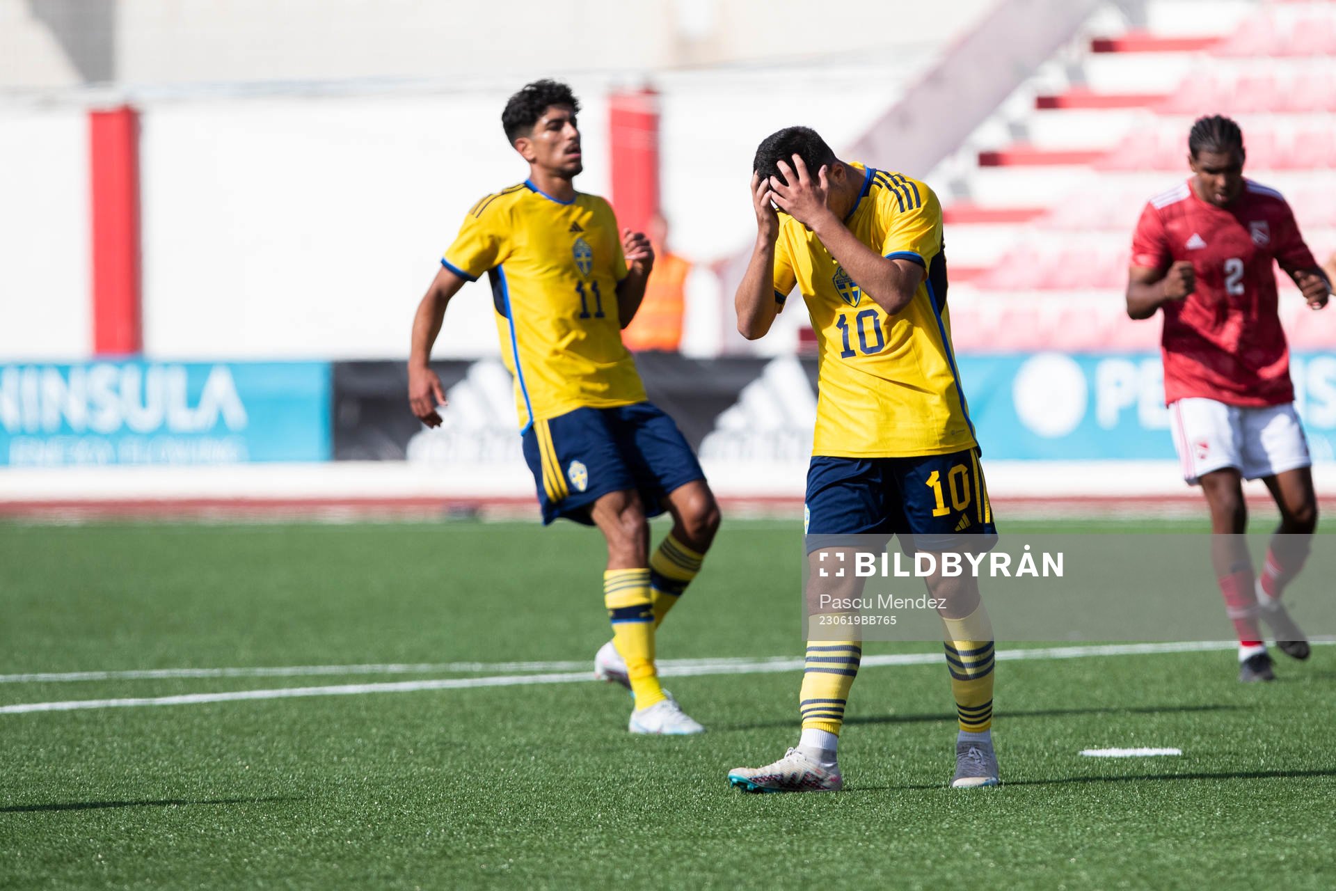 Roony Bardghji, of Sweden vies against