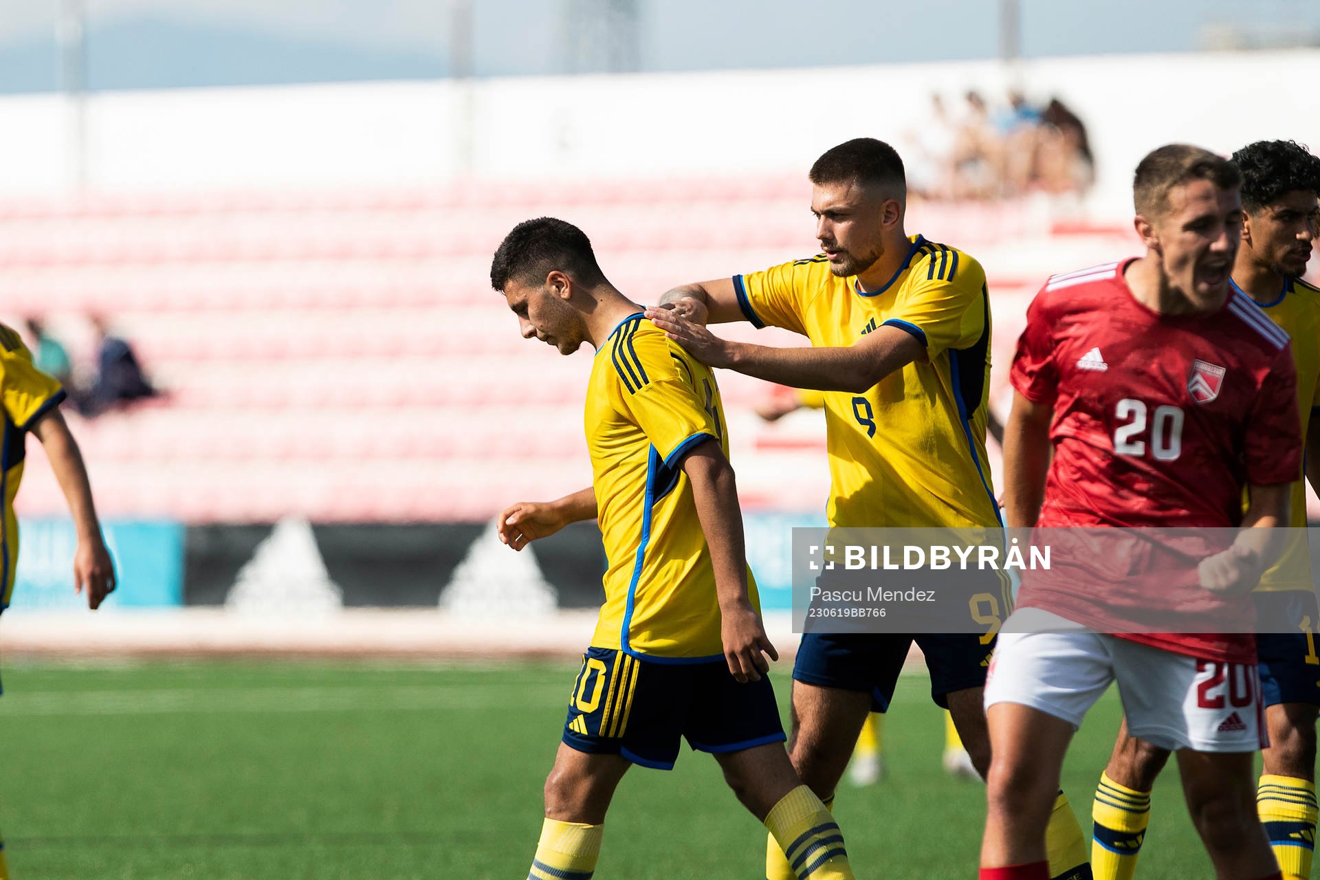 Roony Bardghji and Tim Prica of Sweden