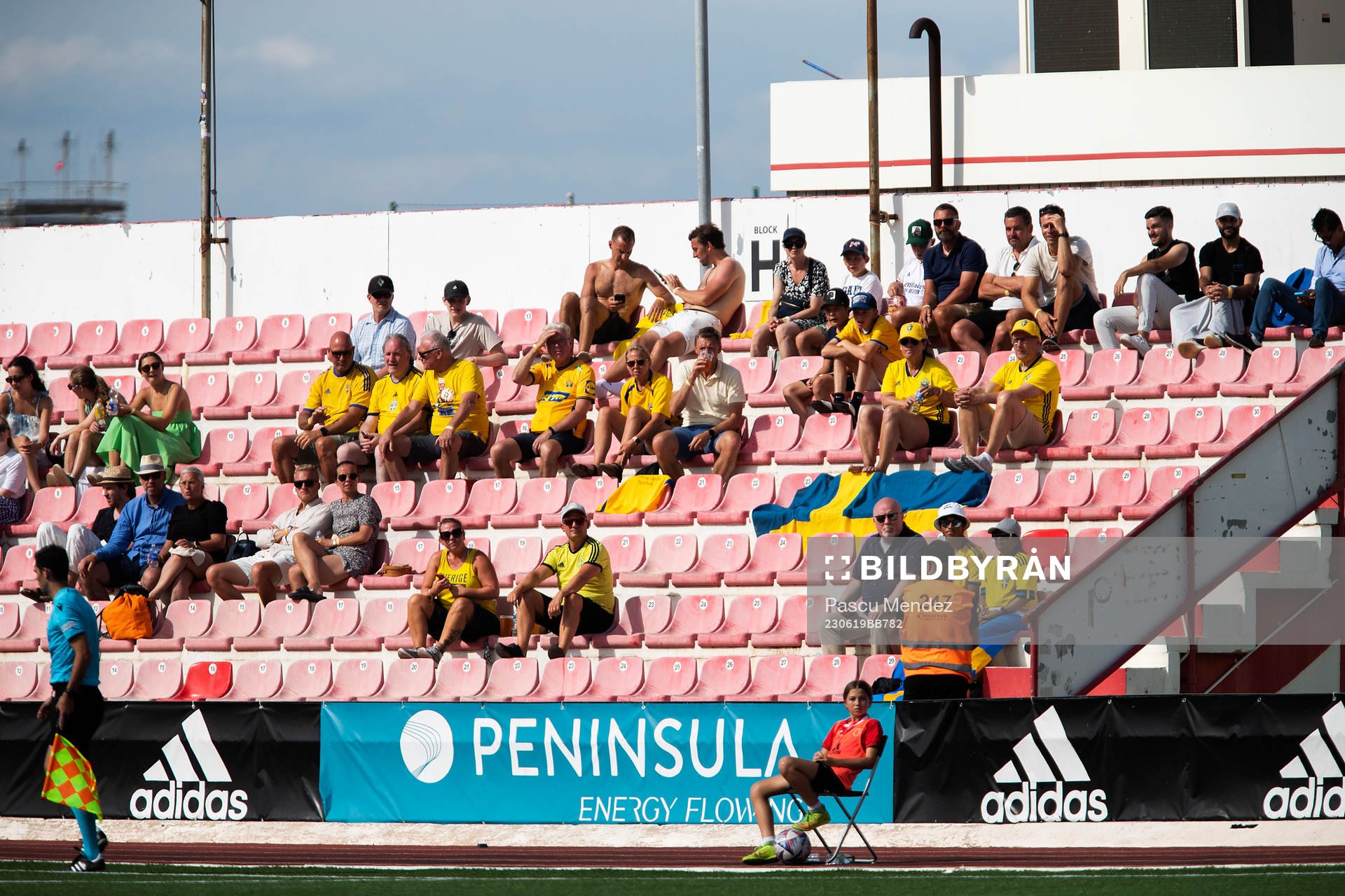 Supporters of Sweden