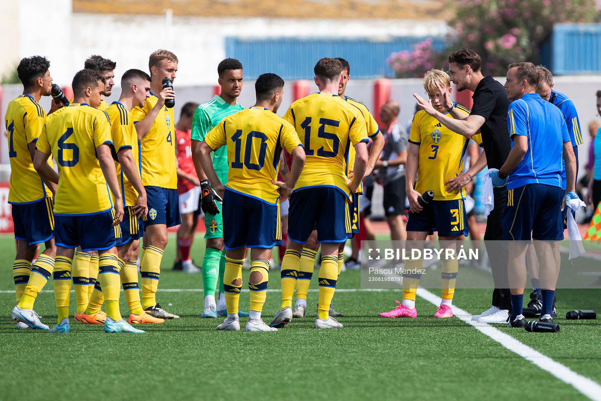 Players of Sweden