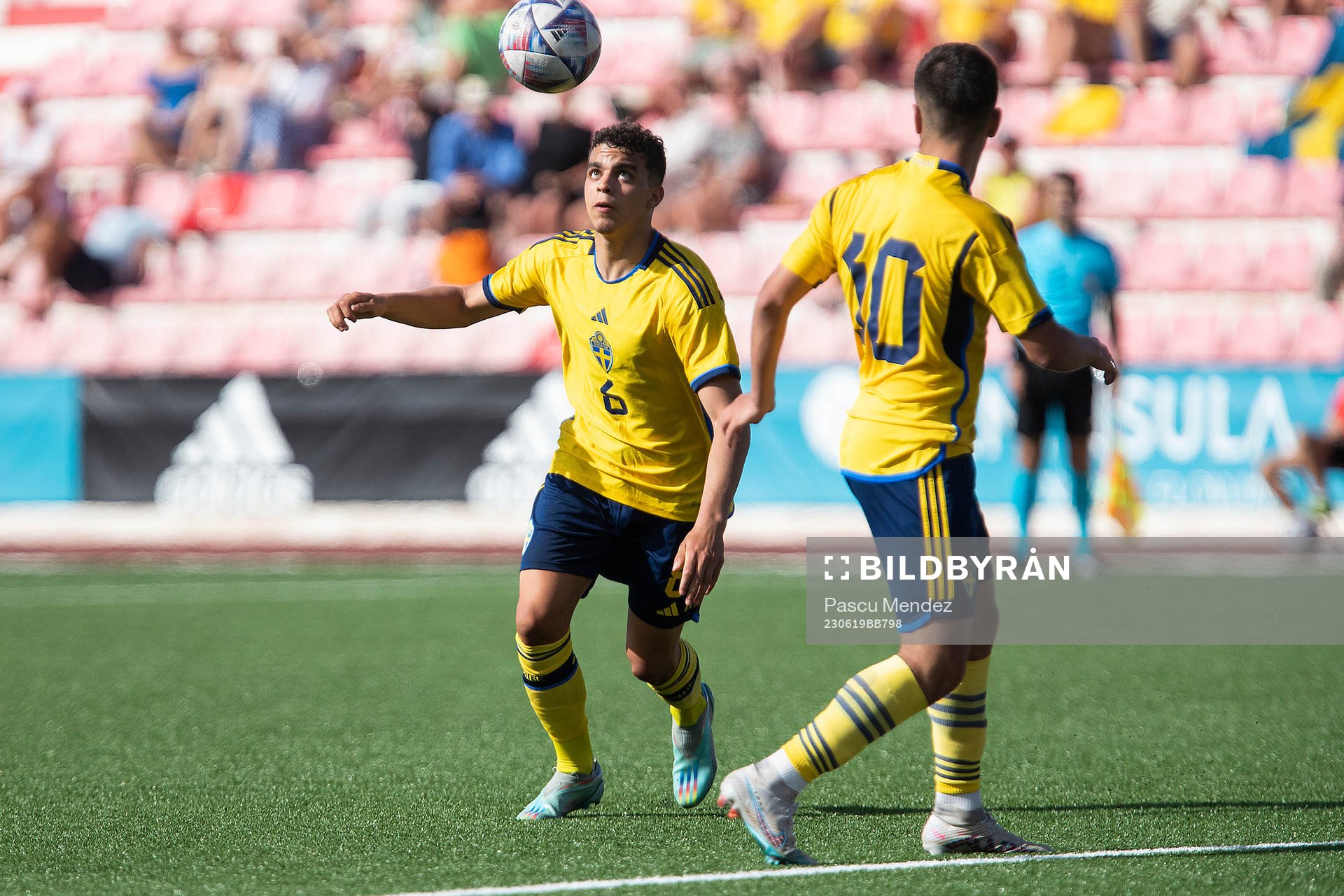 Yasin Ayari and Roony Bardghji of Sweden