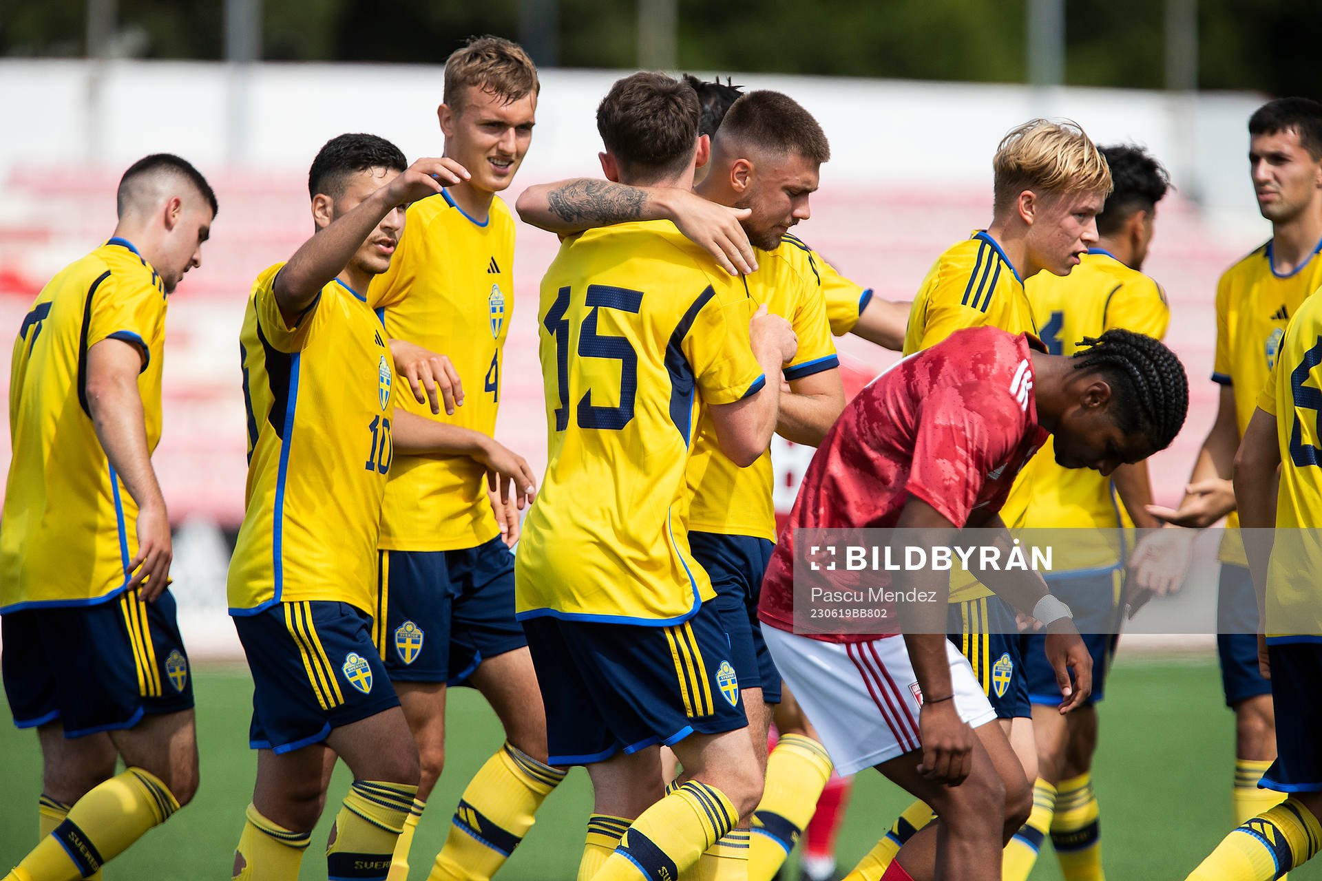 Players of Sweden