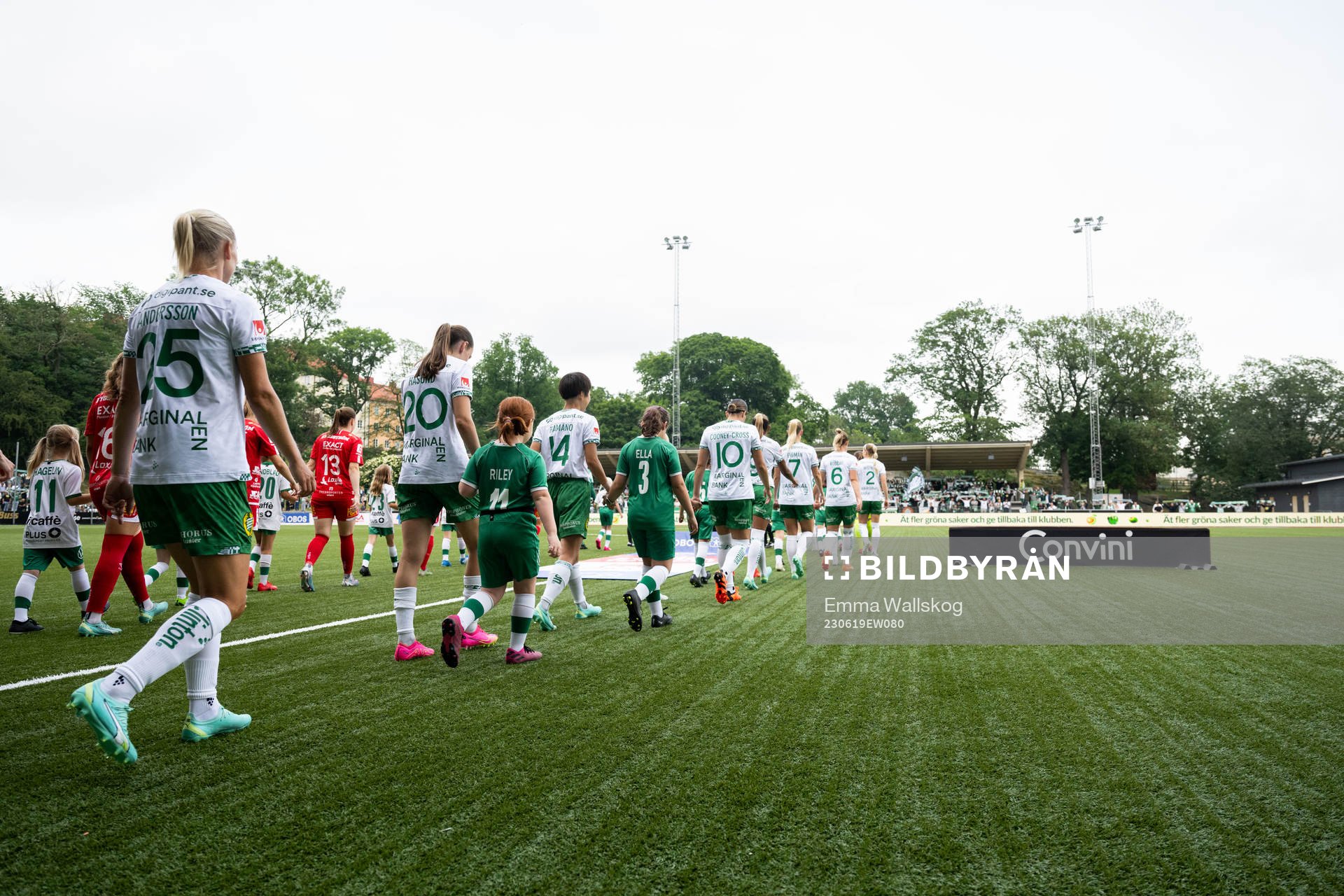 Hammarbys spelare
