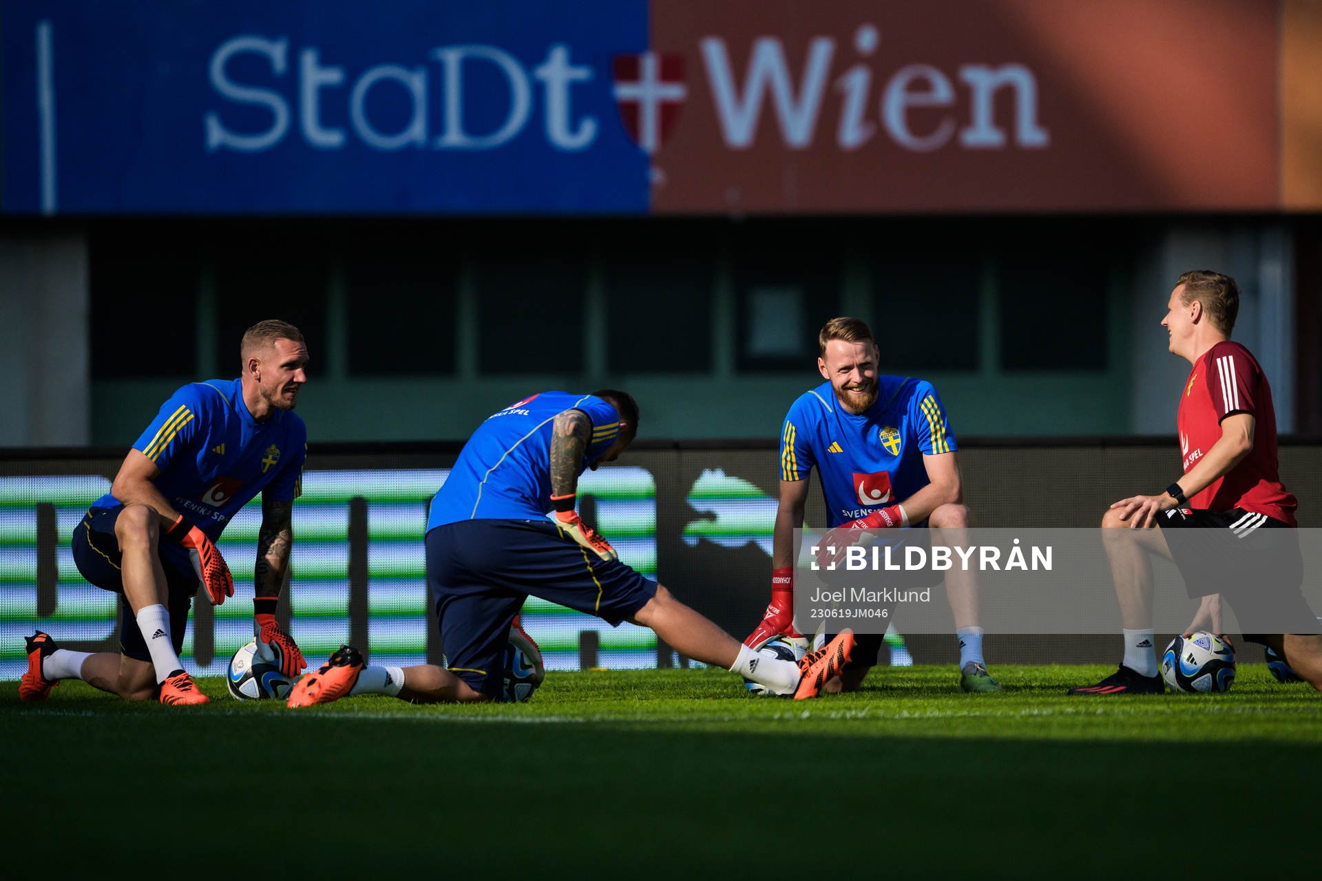 Goalkeepers Robin Olsen, Kristoffer Nordfeldt, Viktor