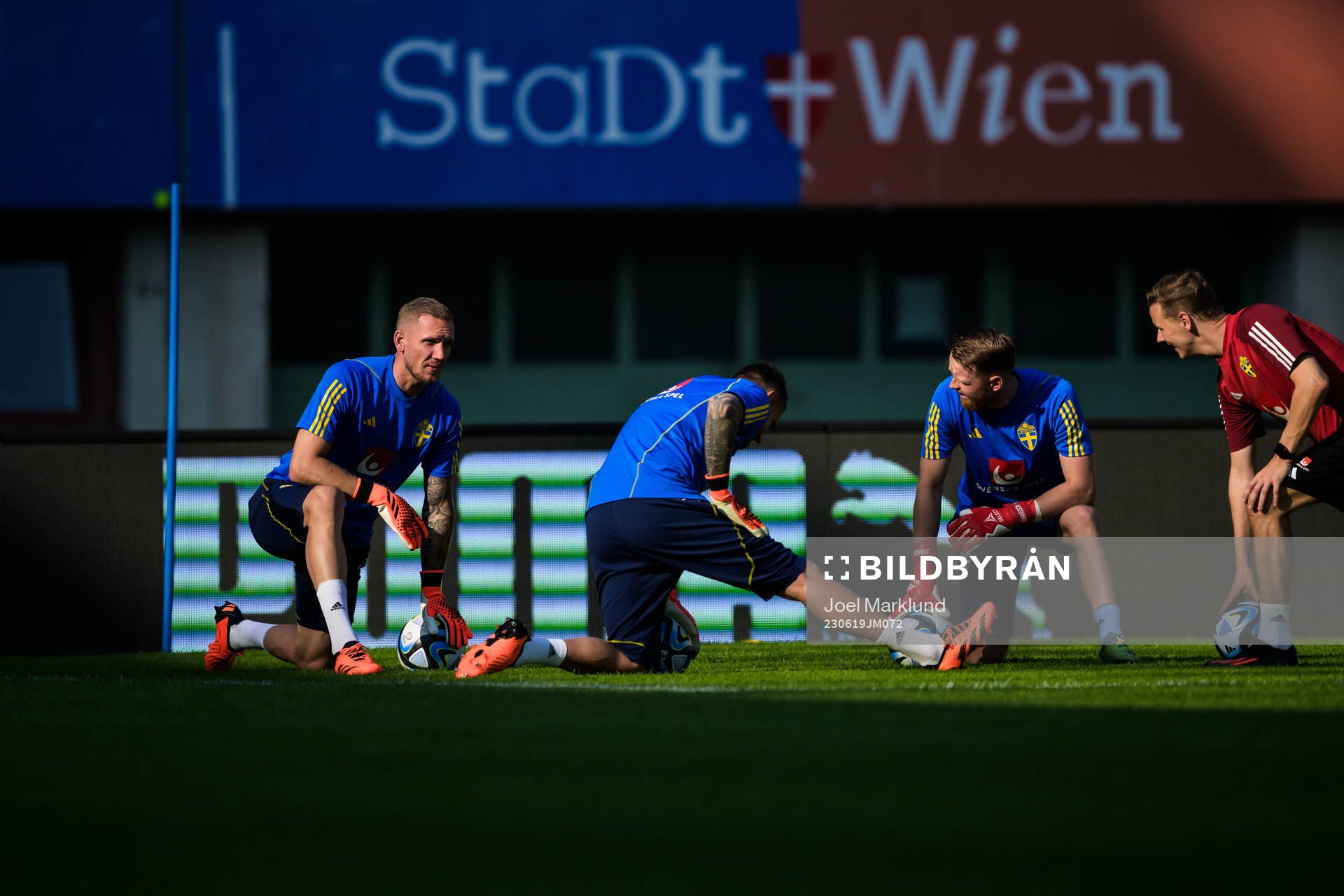 Goalkeepers Robin Olsen, Kristoffer Nordfeldt, Viktor