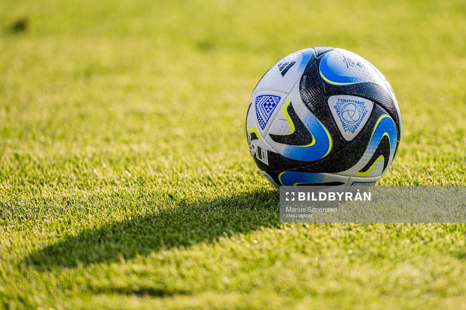 A ball