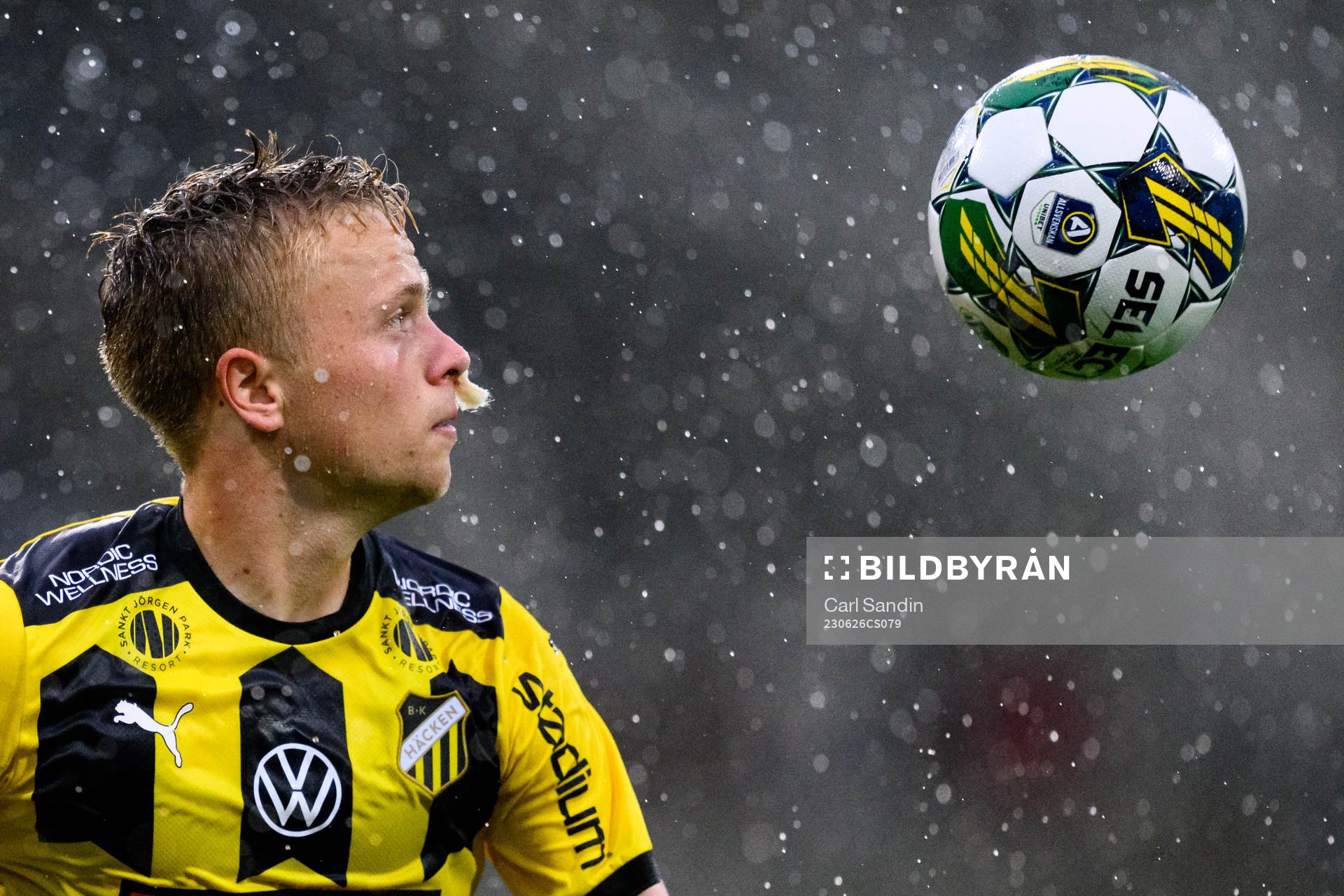 Häckens Tomas Olai Totland