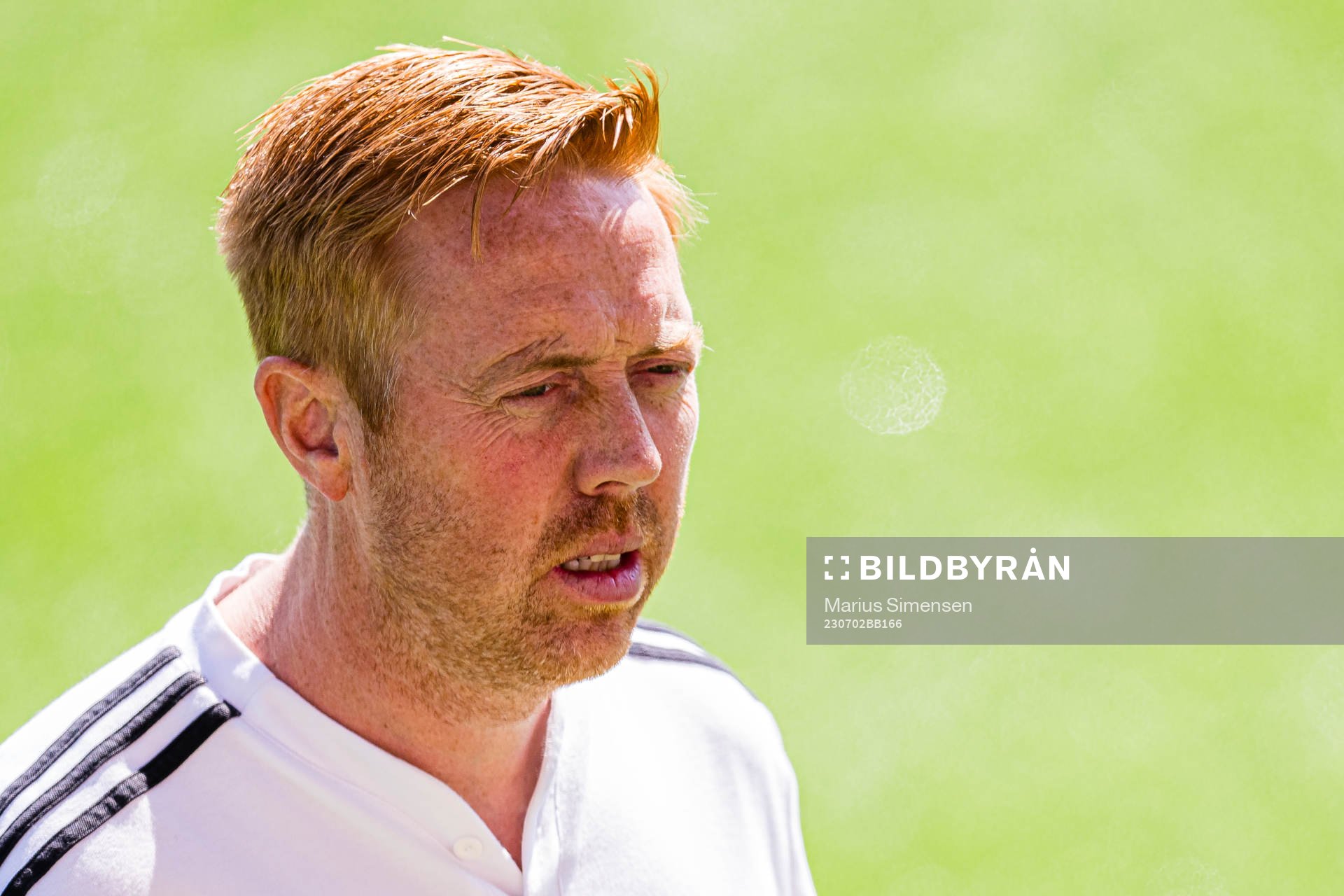 Svein Maalen, head coach of Rosenborg