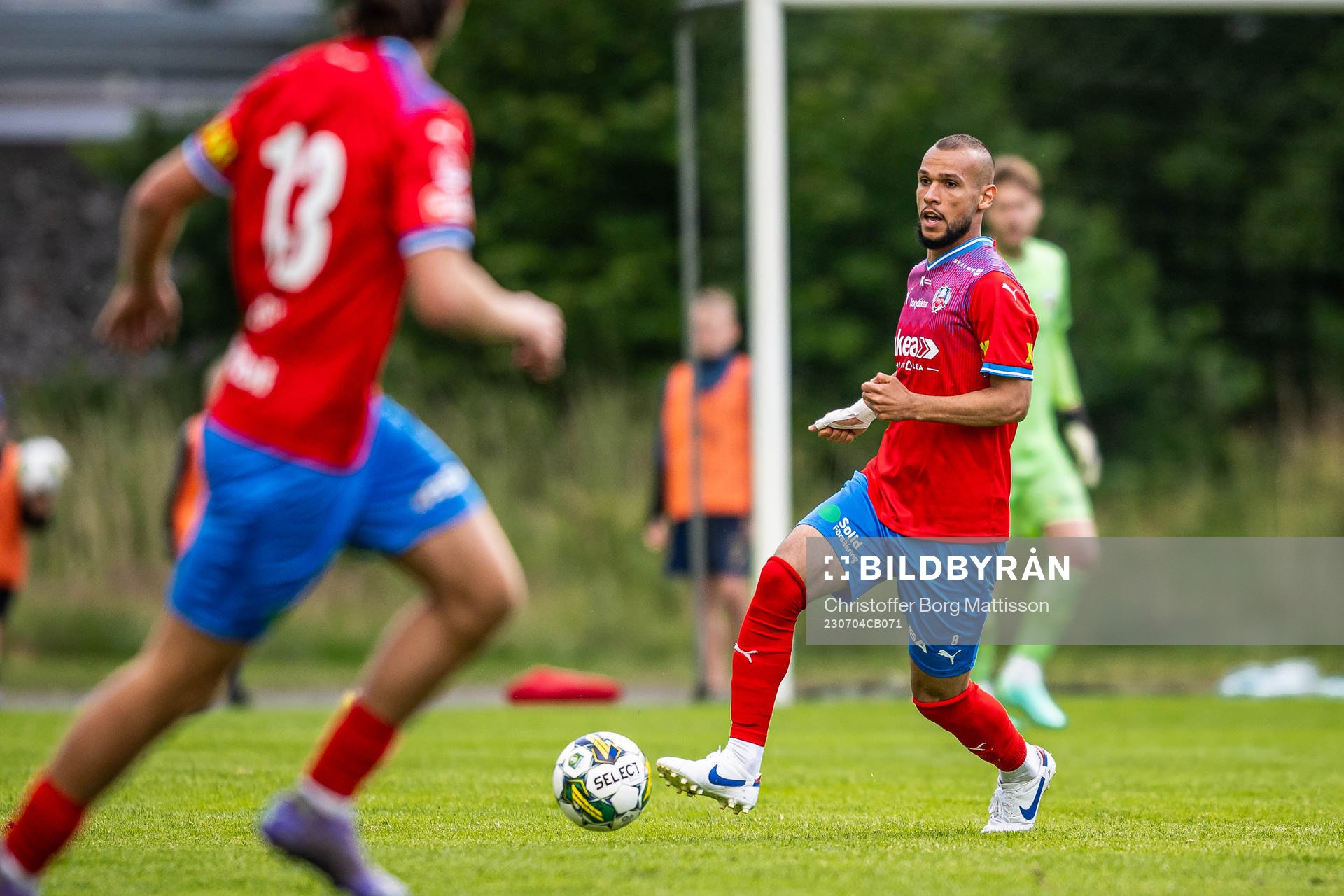 Helsingborgs Sumar Almadjed