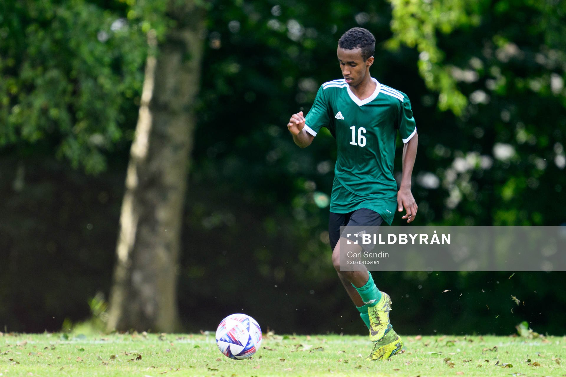 s riksläger för P15