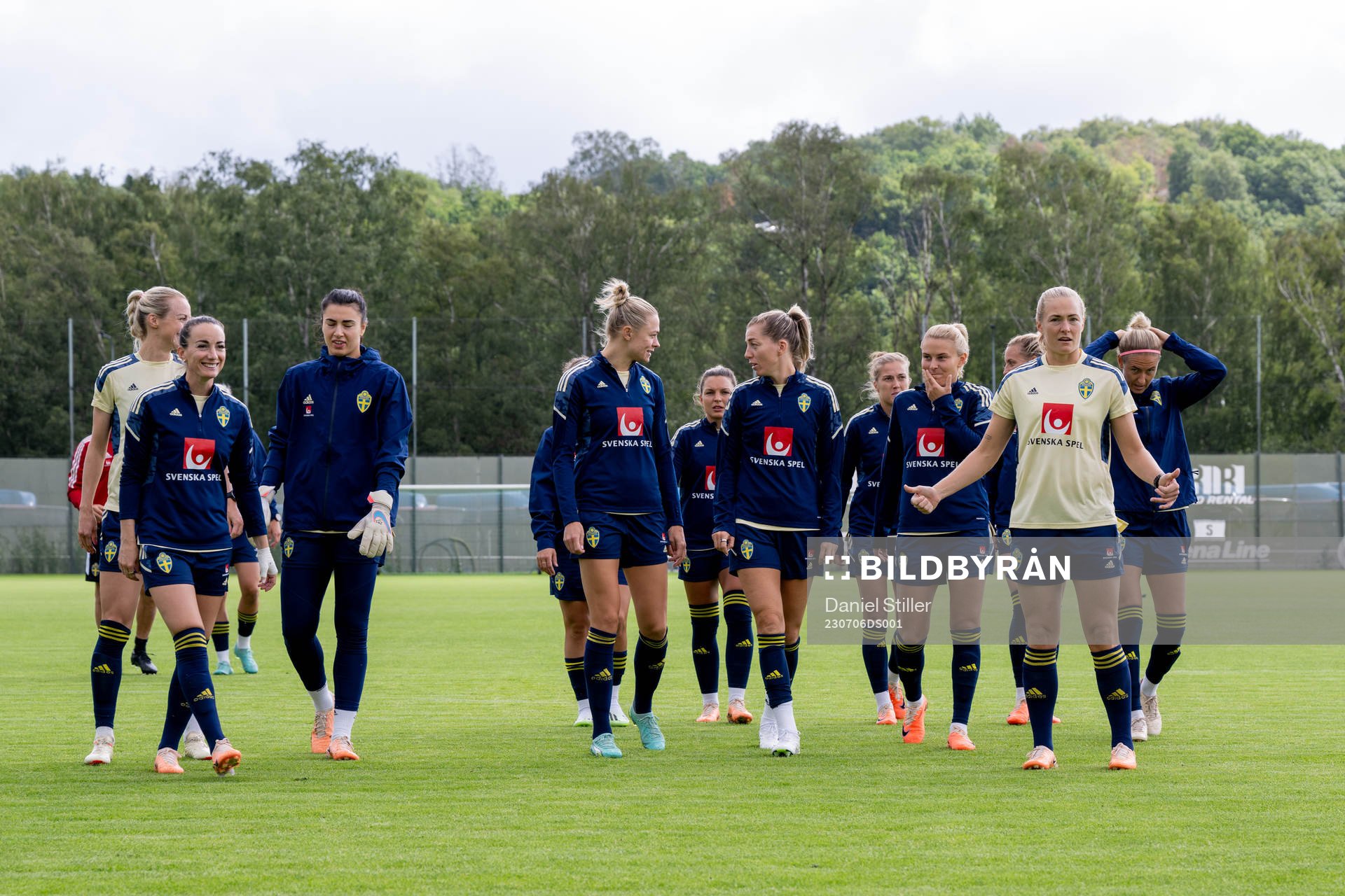 The Swedish national football team is gathered