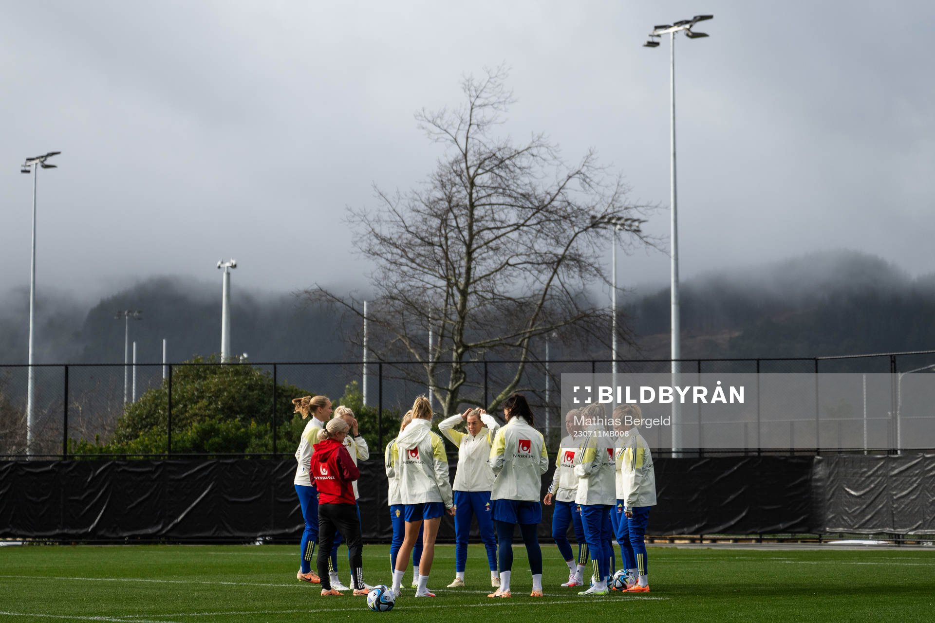 Players of the Swedish women's national football team at a