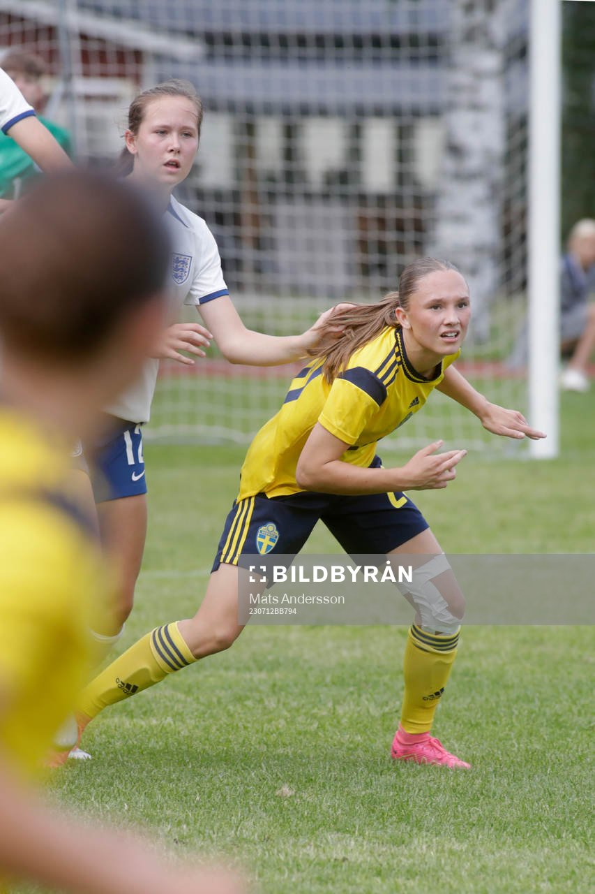 Sveriges Nova Rolfsson