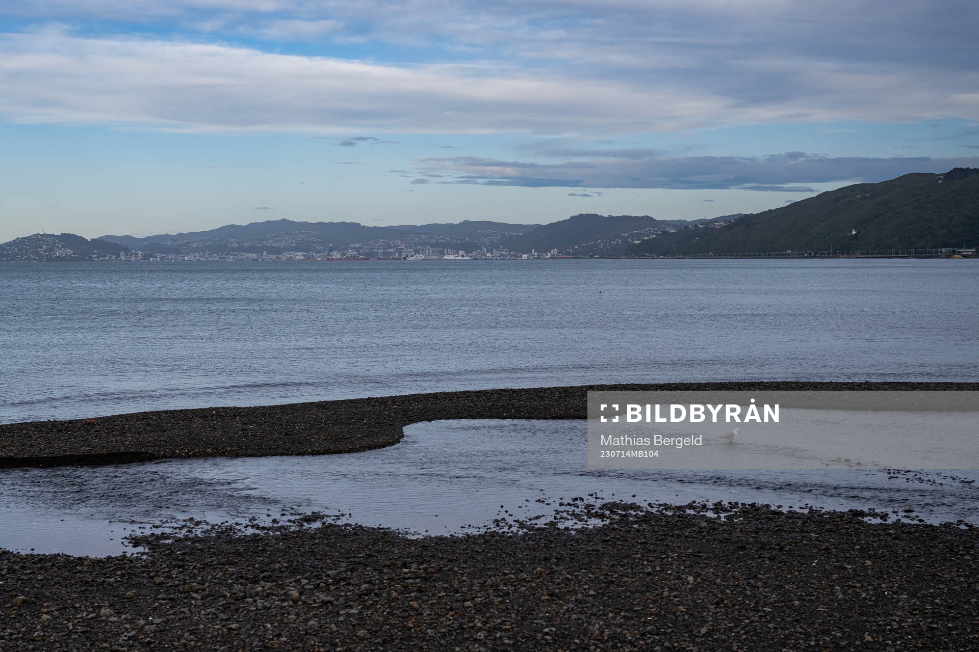View of Wellington from Petone Beach