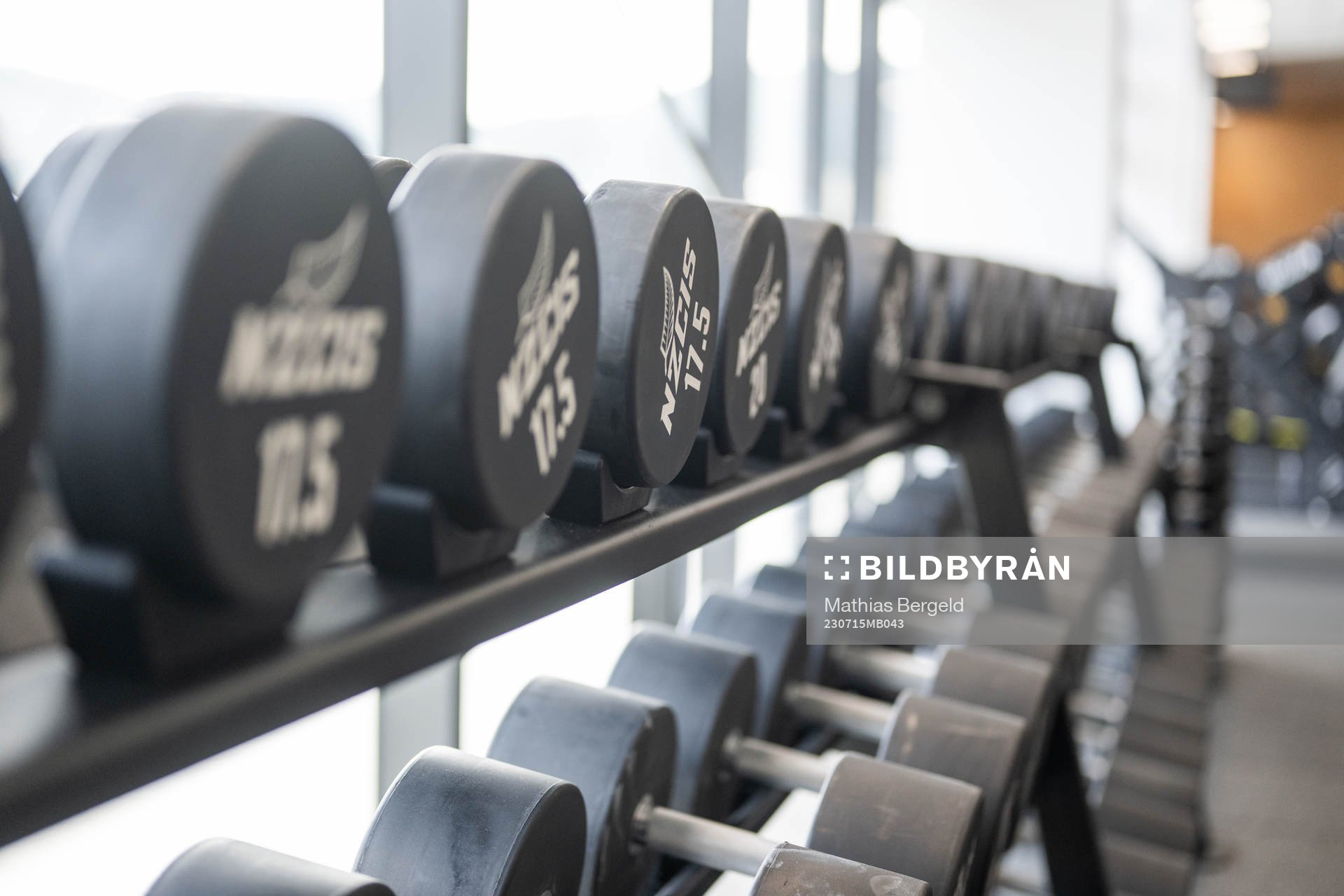 Weights in the gym
