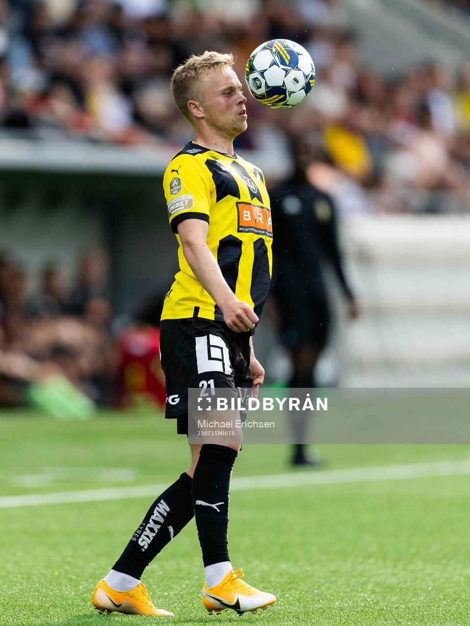 Häckens Tomas Olai Totland
