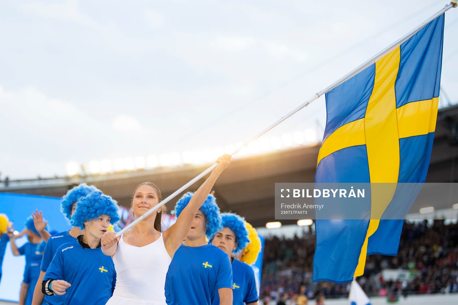 En svensk flagga