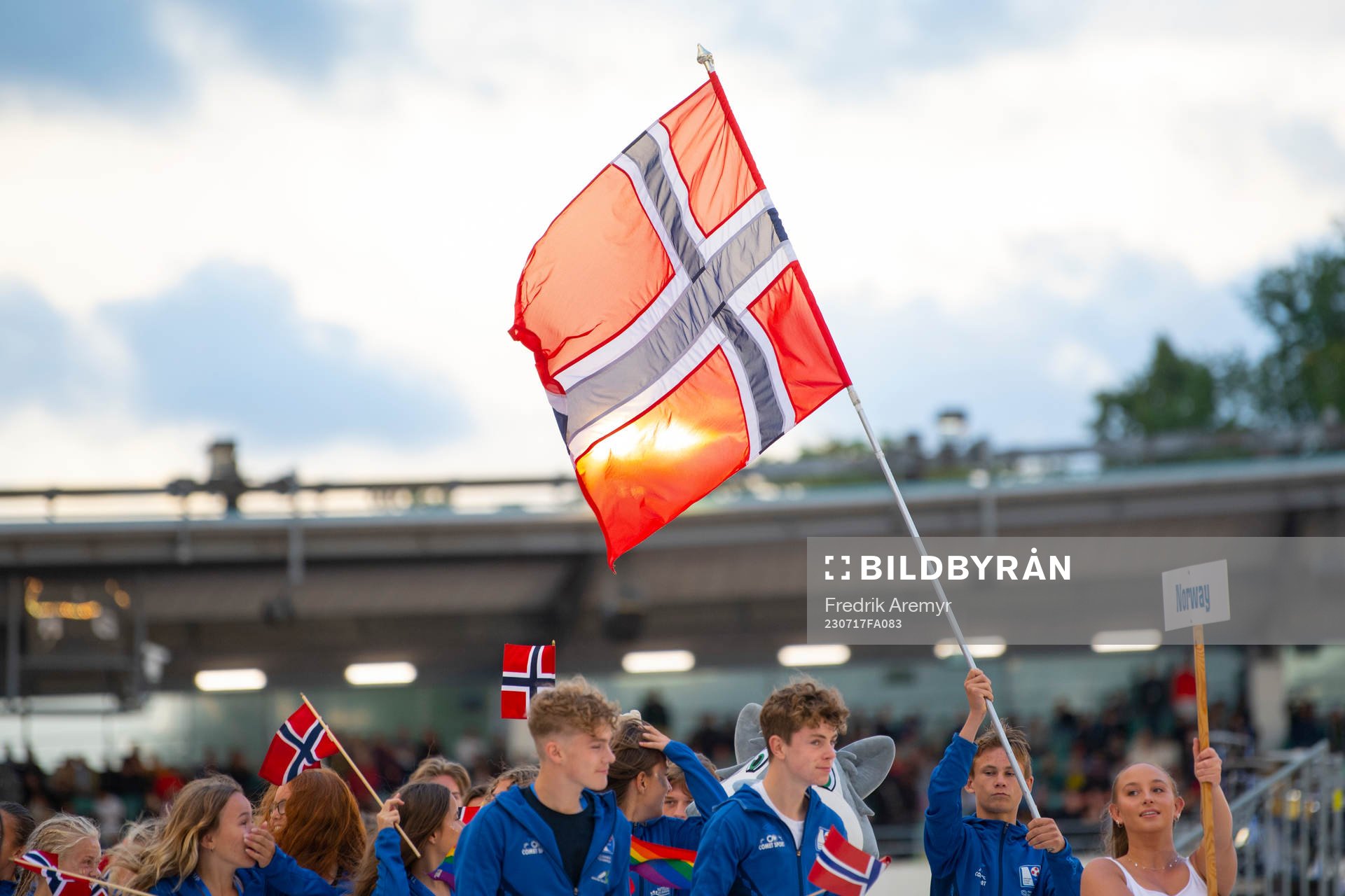 en norsk flagga