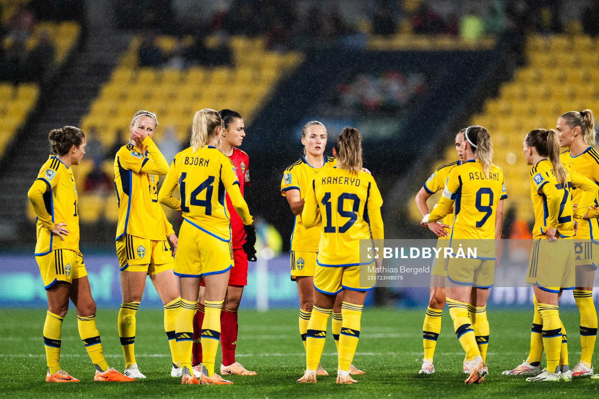 Players of Sweden