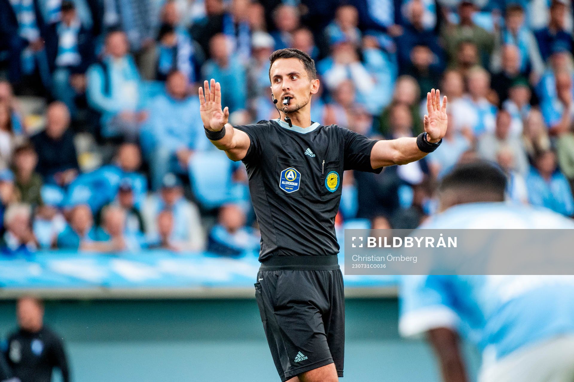 Domare Adi Aganovic