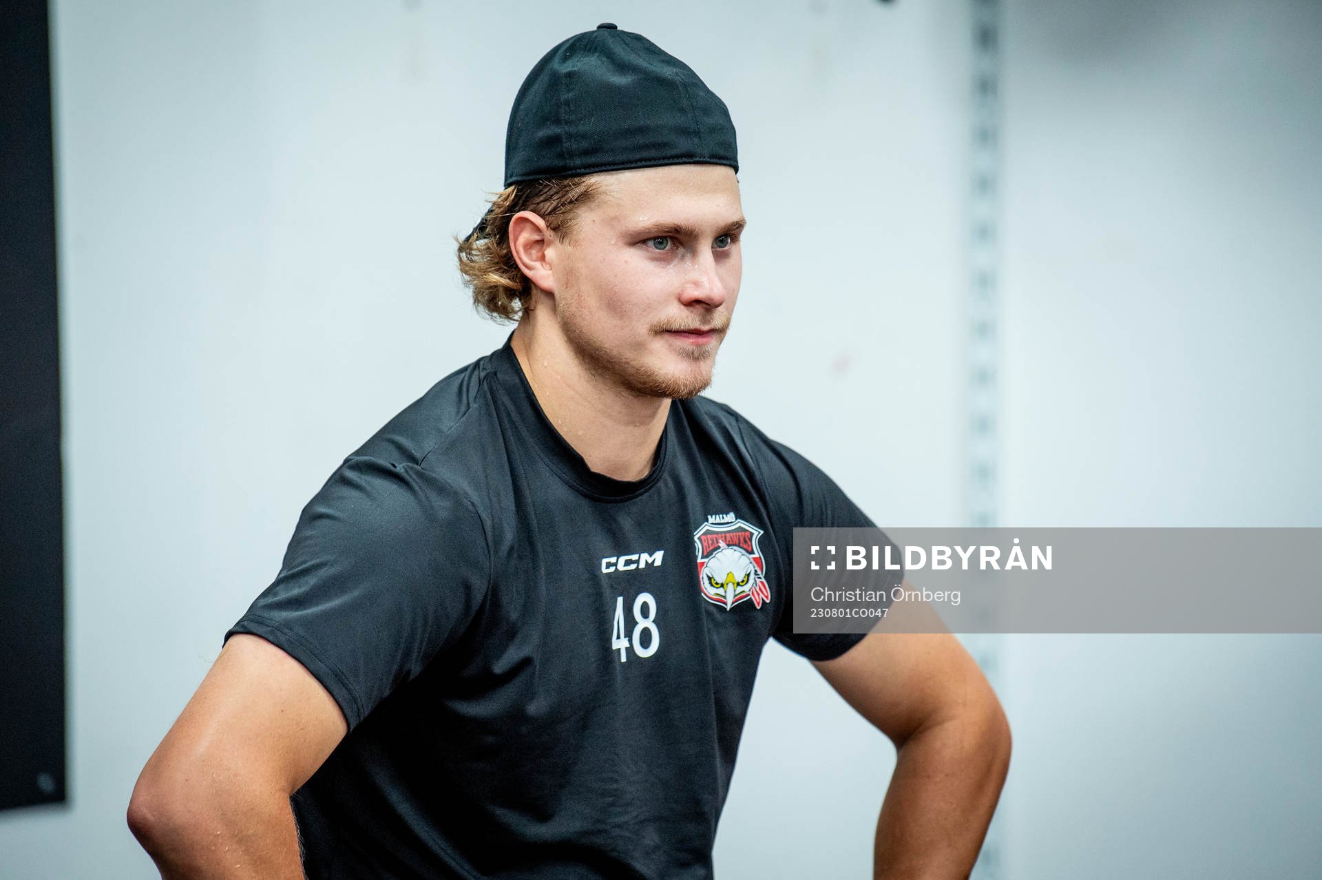 Lauri Pajuniemi